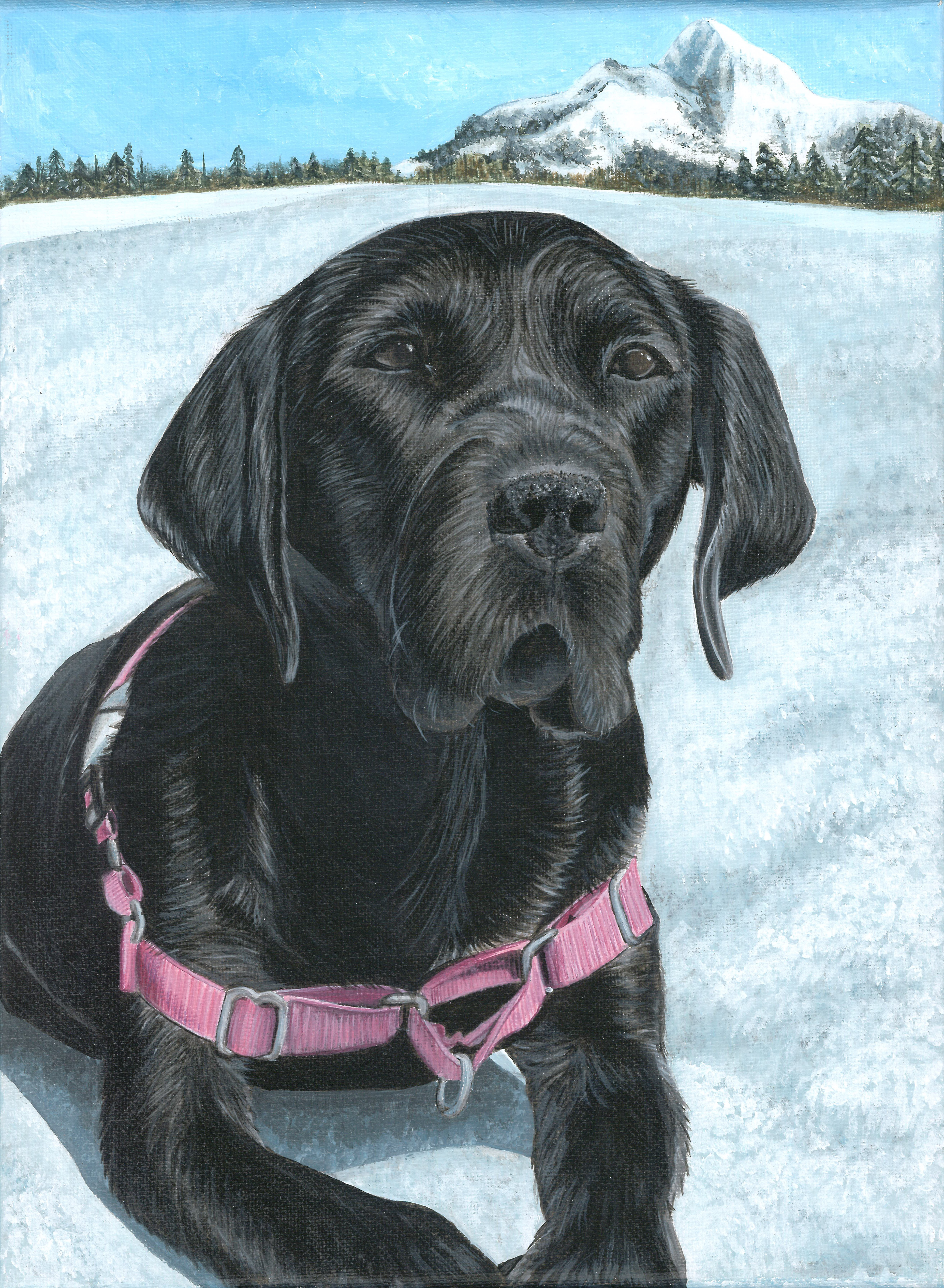 Lucy in the Snow - Acrylic on Canvas 9 x 11 in