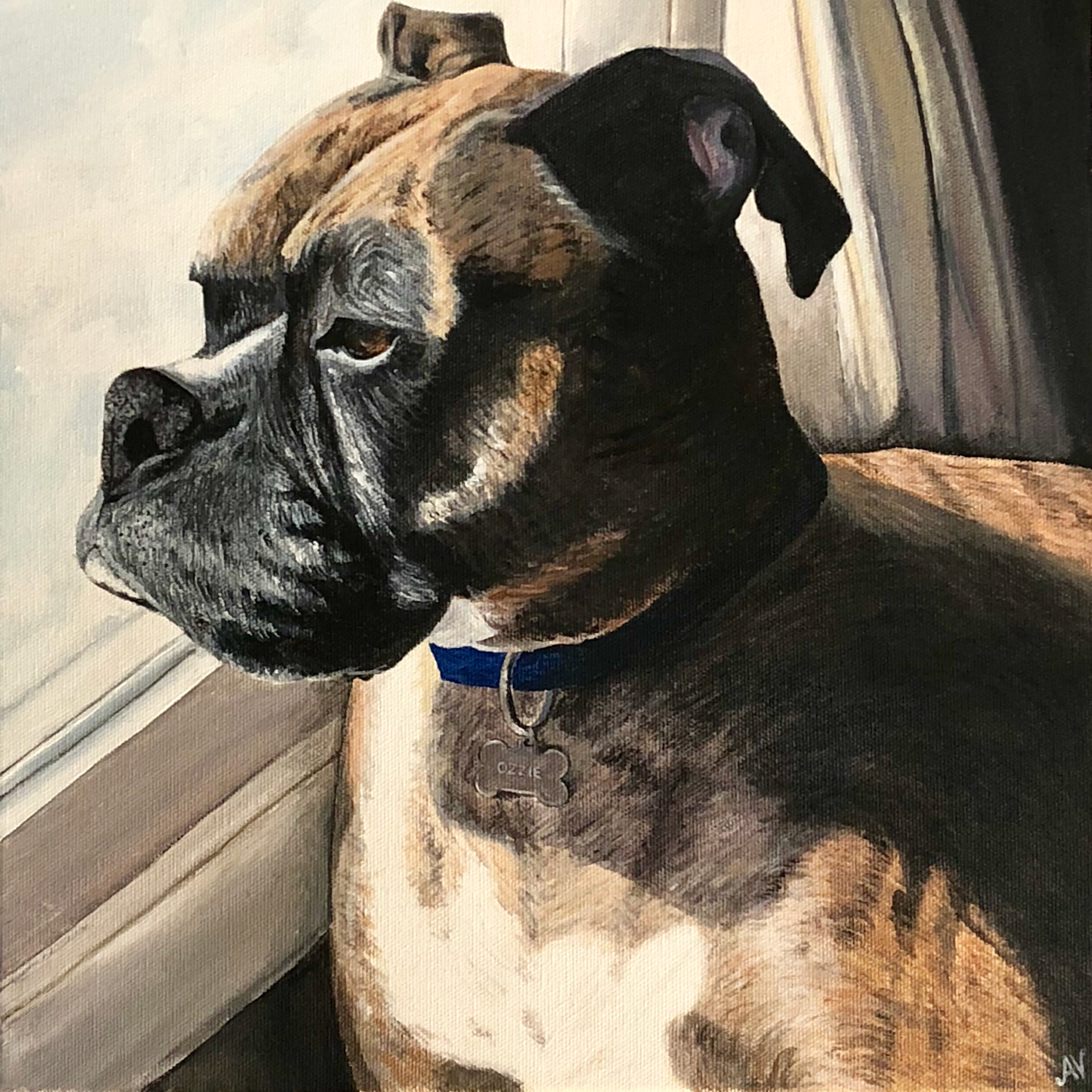 Ozzie - Acrylic on Stretched Canvas - 12x12