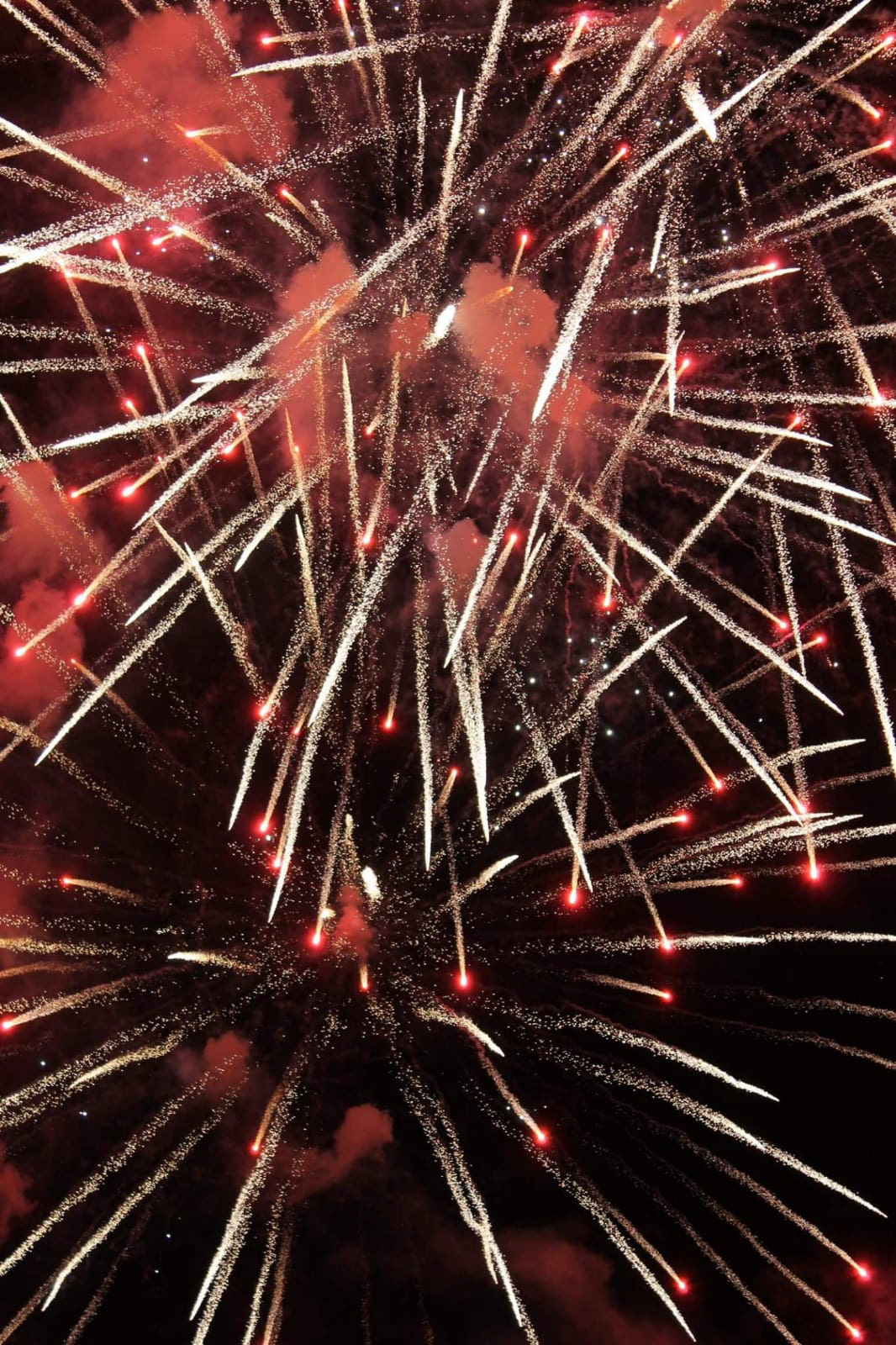 Bastille Day, Champs de Mars, Paris. © Rudy Wolff.