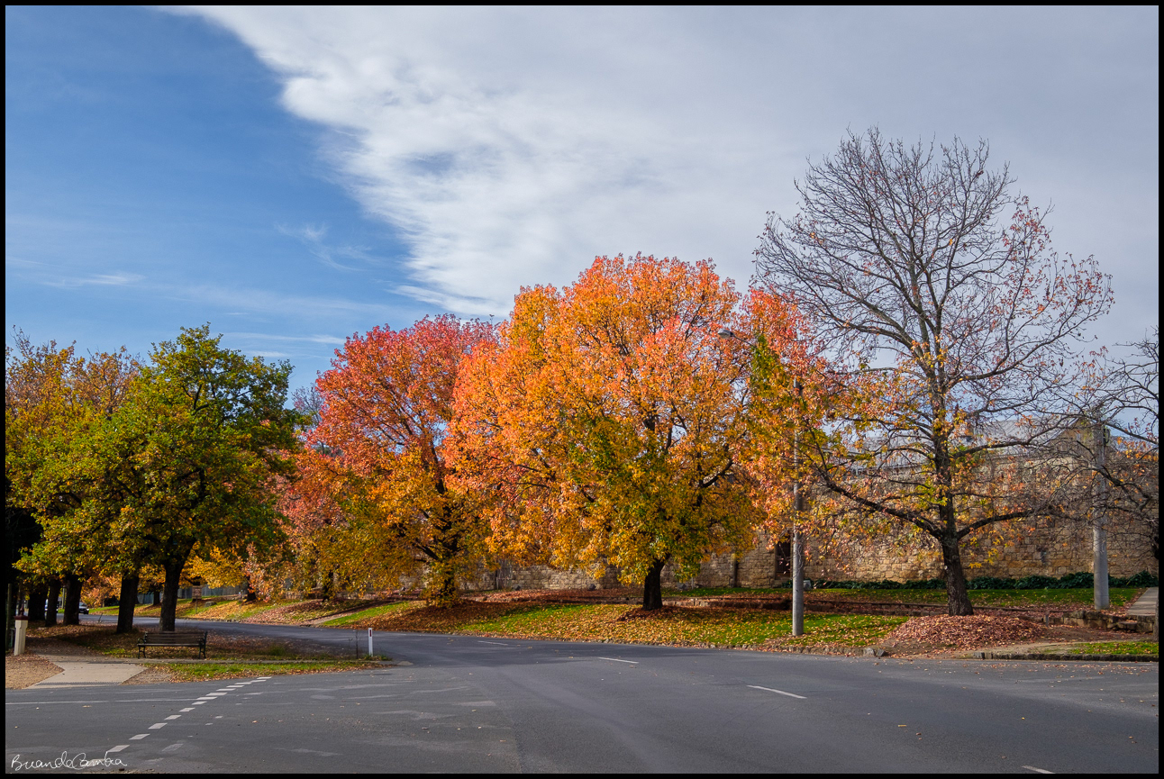 Beechworth Vic