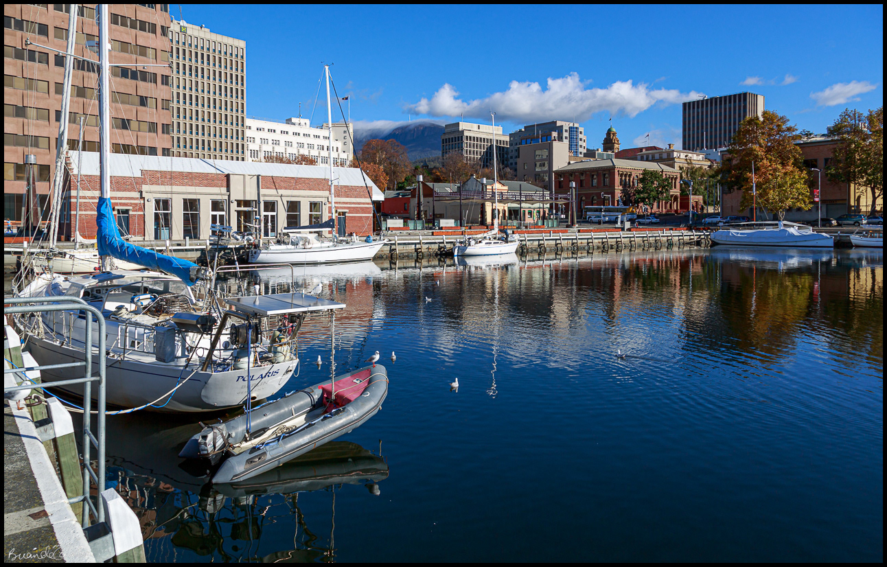 Hobart Constitution Dock