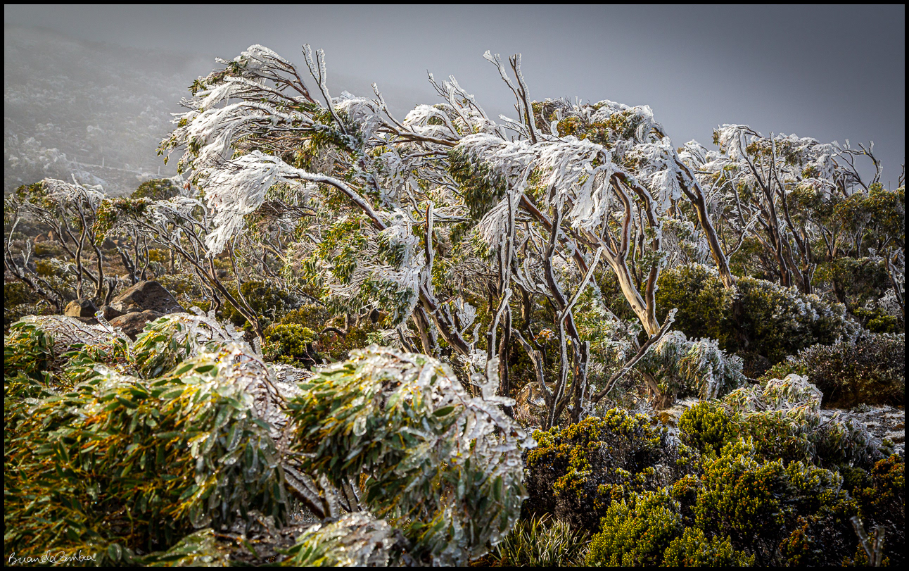 Mount Wellington, Tasmania
