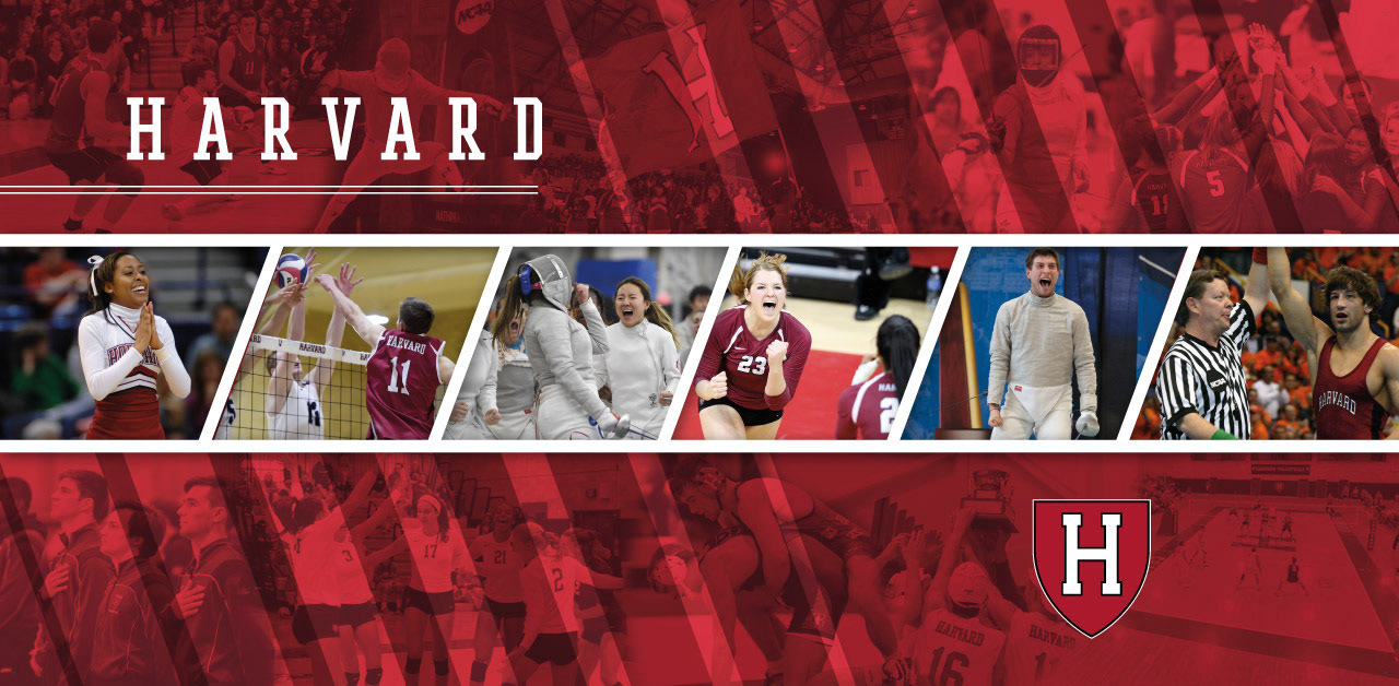 Harvard Mural (AMI Graphics)