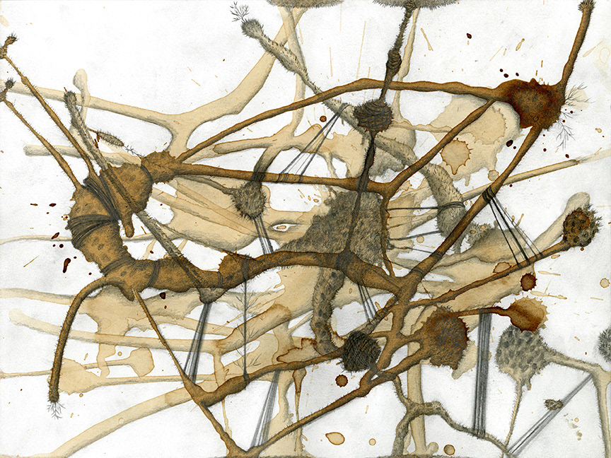 #25, 9"x12", 2008, coffee and pencil (sold)