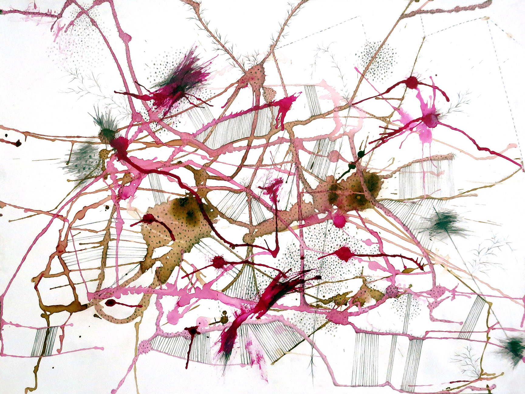 Big Drawing #3, 2014, 18"x24", coffee, pencil and color ink
