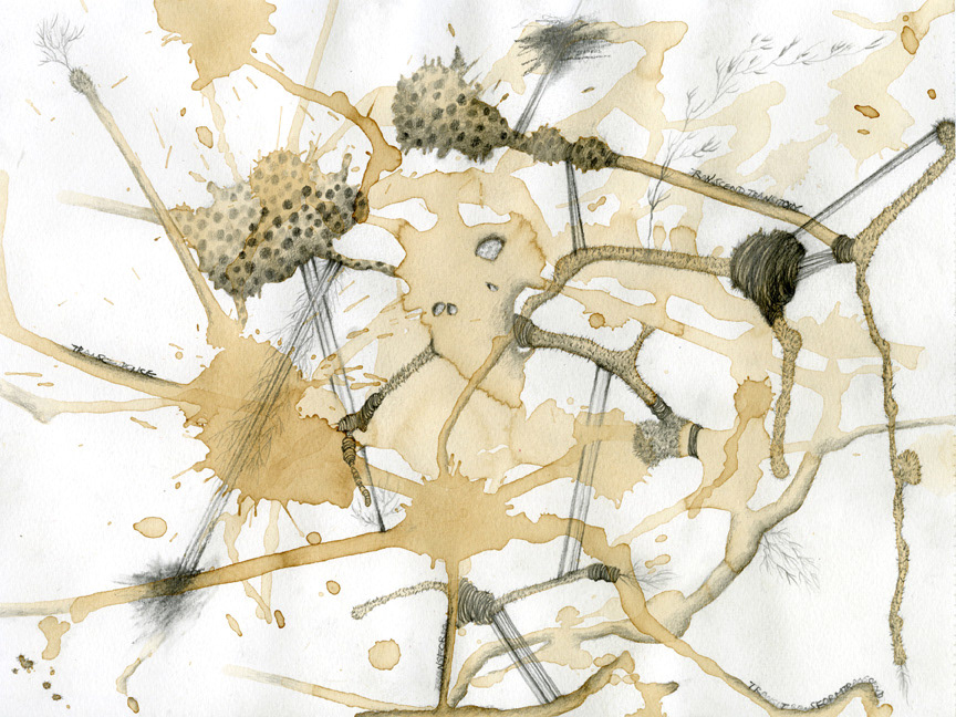 #23, 9"x12", 2007, coffee and pencil