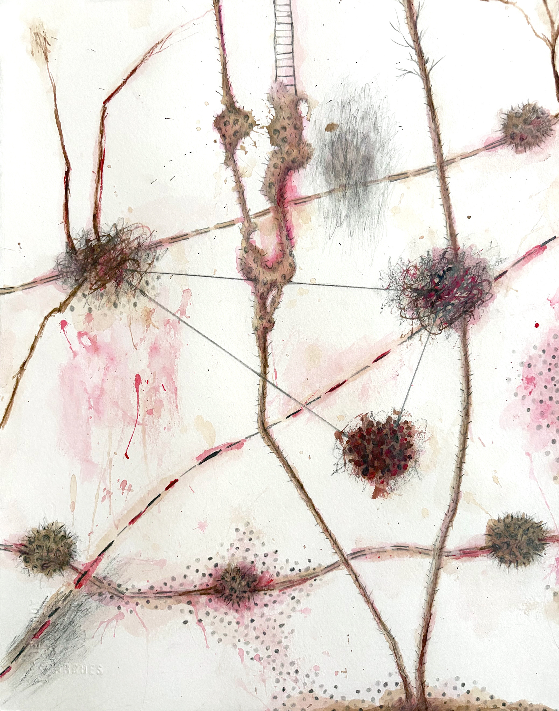 NC Drawing #10, 2026, 14"x11", pencil and color ink
