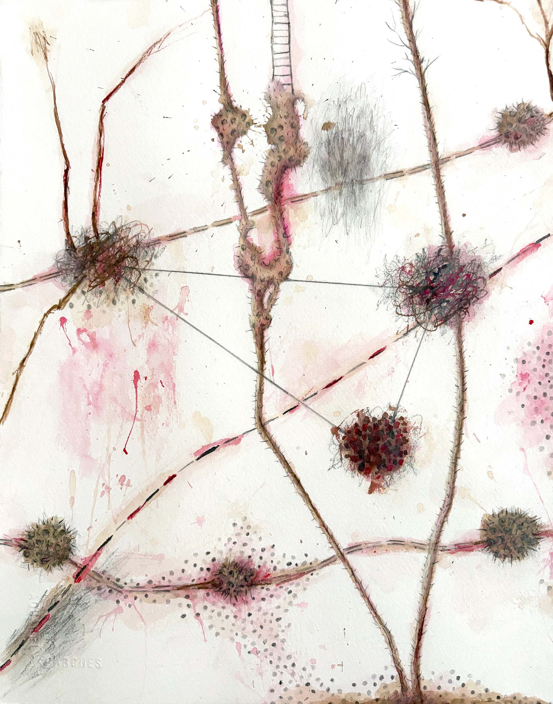 NC Drawing #10, 2026, 14"x11", pencil and color ink