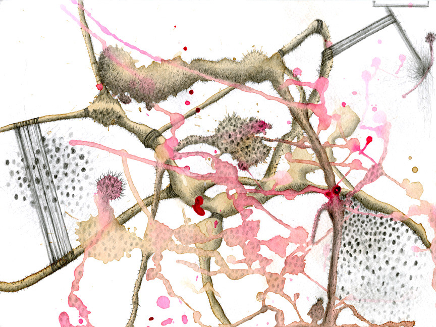 #29, 9"x12", 2010, coffee, pencil and color ink