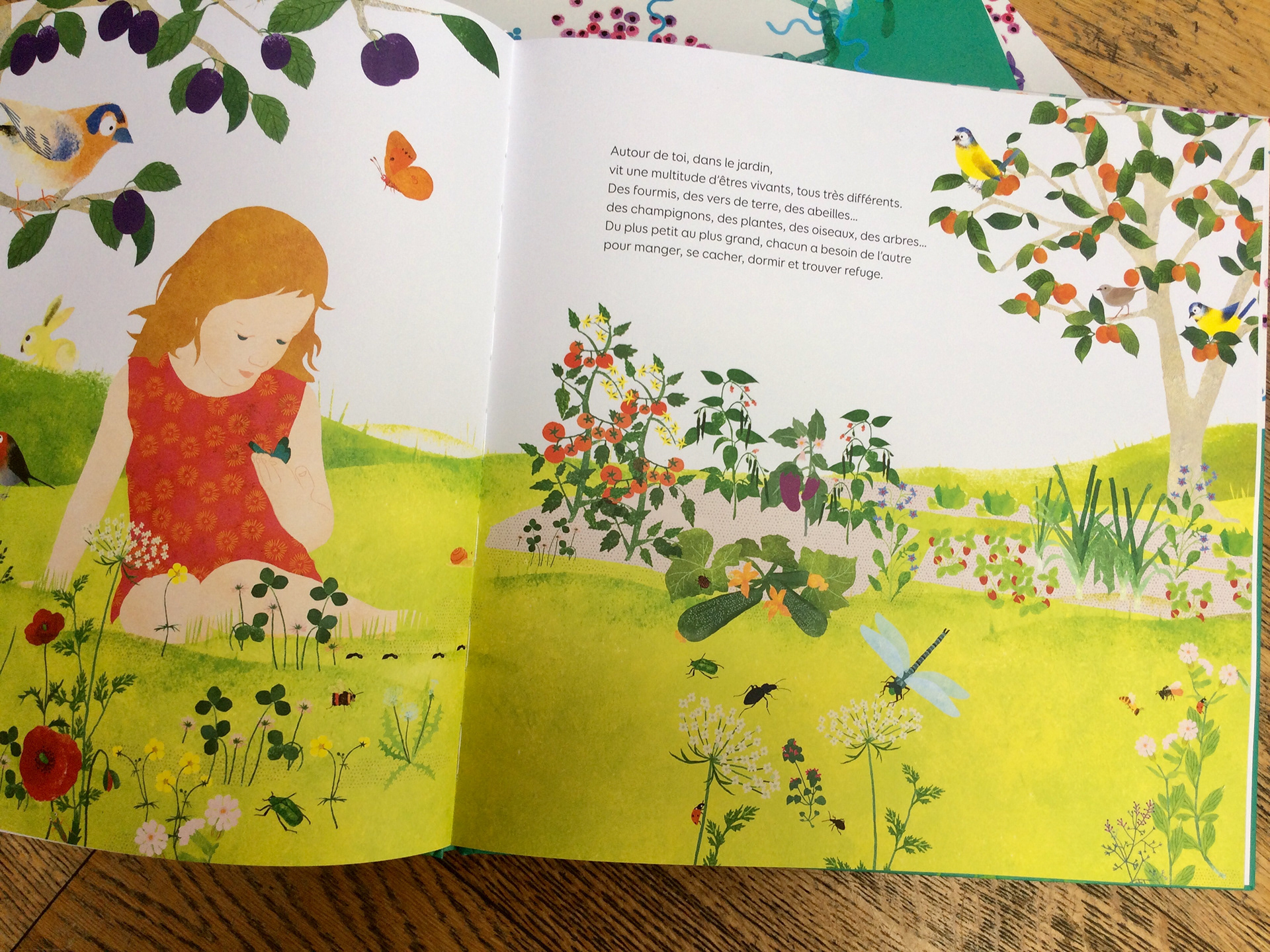 Emmanuelle Houssais illustratrice illustration graphiste graphisme album jeunesse exposition biodiversité bactérie santé potager