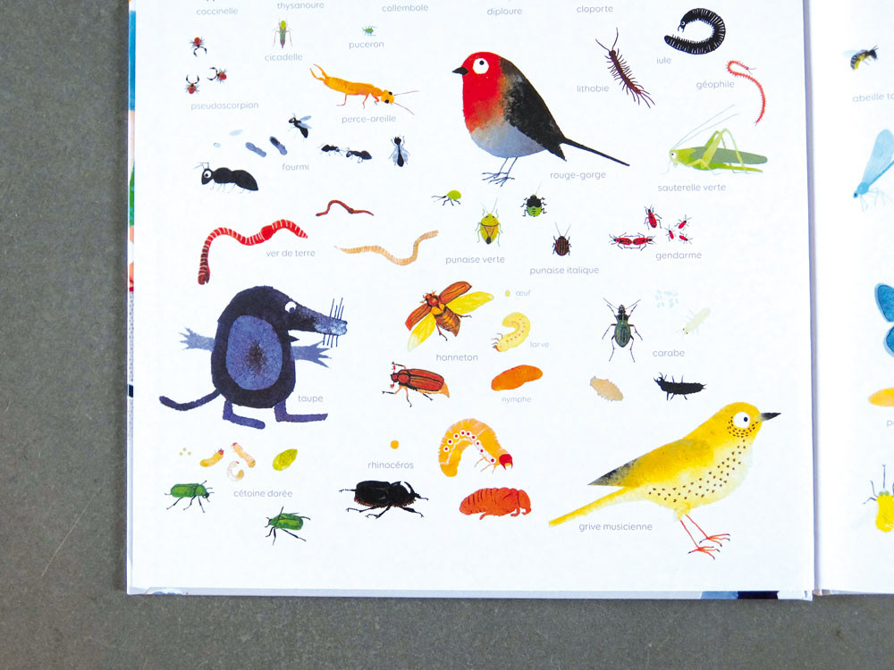 Emmanuelle Houssais illustratrice illustration graphiste graphisme album jeunesse exposition biodiversité insecte taupe