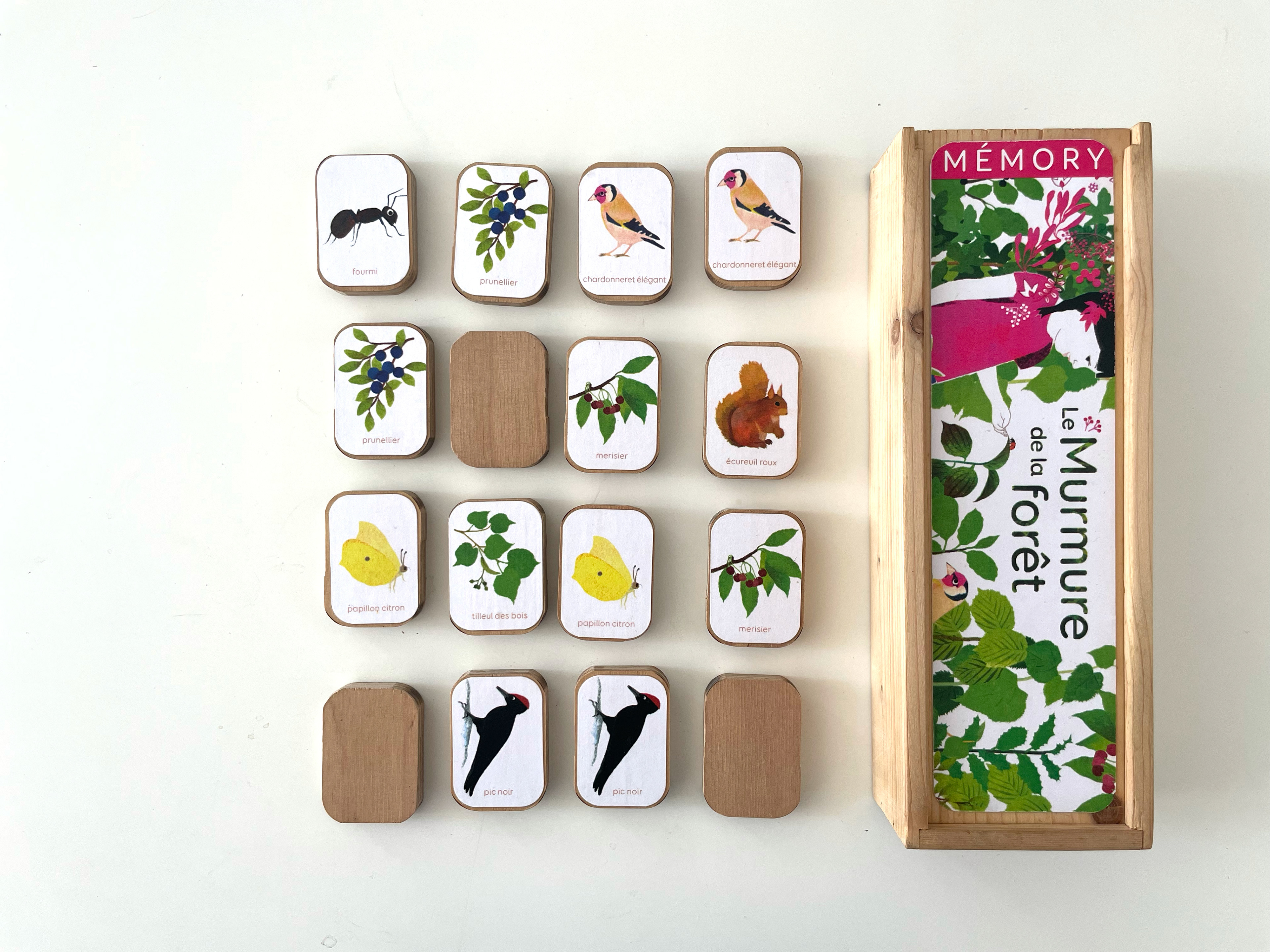 Emmanuelle Houssais illustratrice illustration graphiste graphisme album jeunesse exposition biodiversité