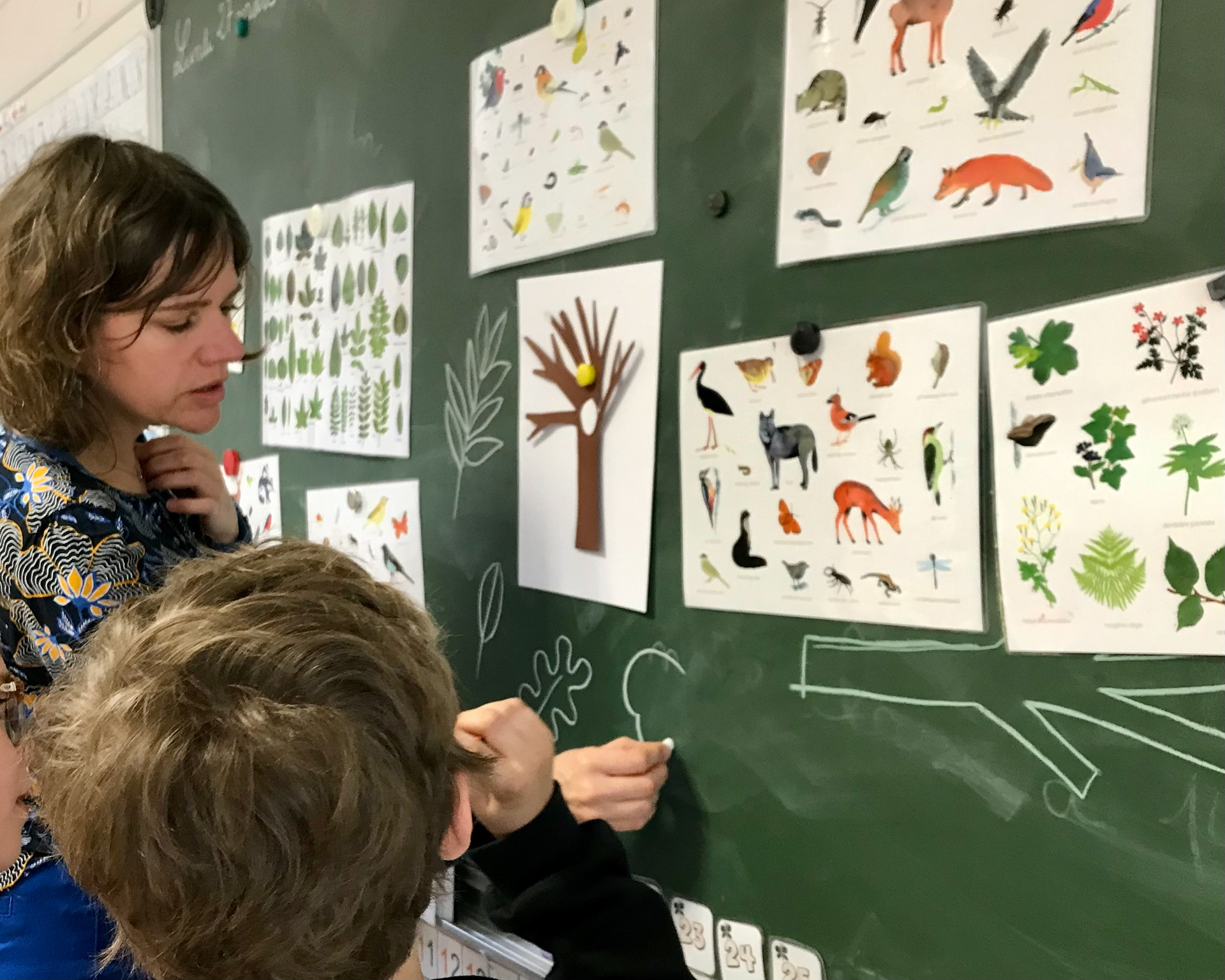 Emmanuelle Houssais, illustratrice, autrice jeunesse, graphiste illustration, graphisme, livre pour enfant, album jeunesse, bookforchildren, childrenillustration,  atelier d'illustration