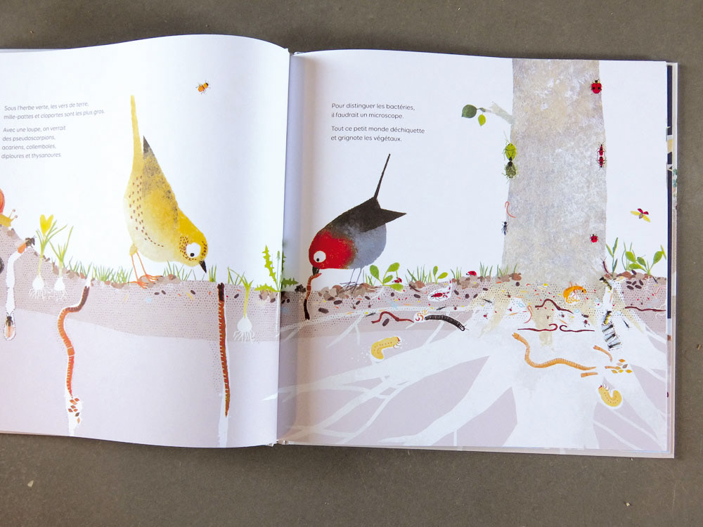 Emmanuelle Houssais illustratrice illustration graphiste graphisme album jeunesse exposition biodiversité insecte taupe