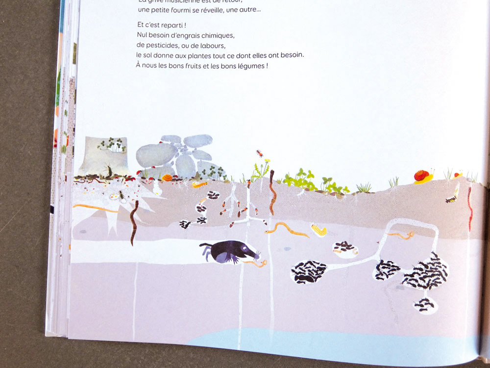 Emmanuelle Houssais illustratrice illustration graphiste graphisme album jeunesse exposition biodiversité insecte taupe