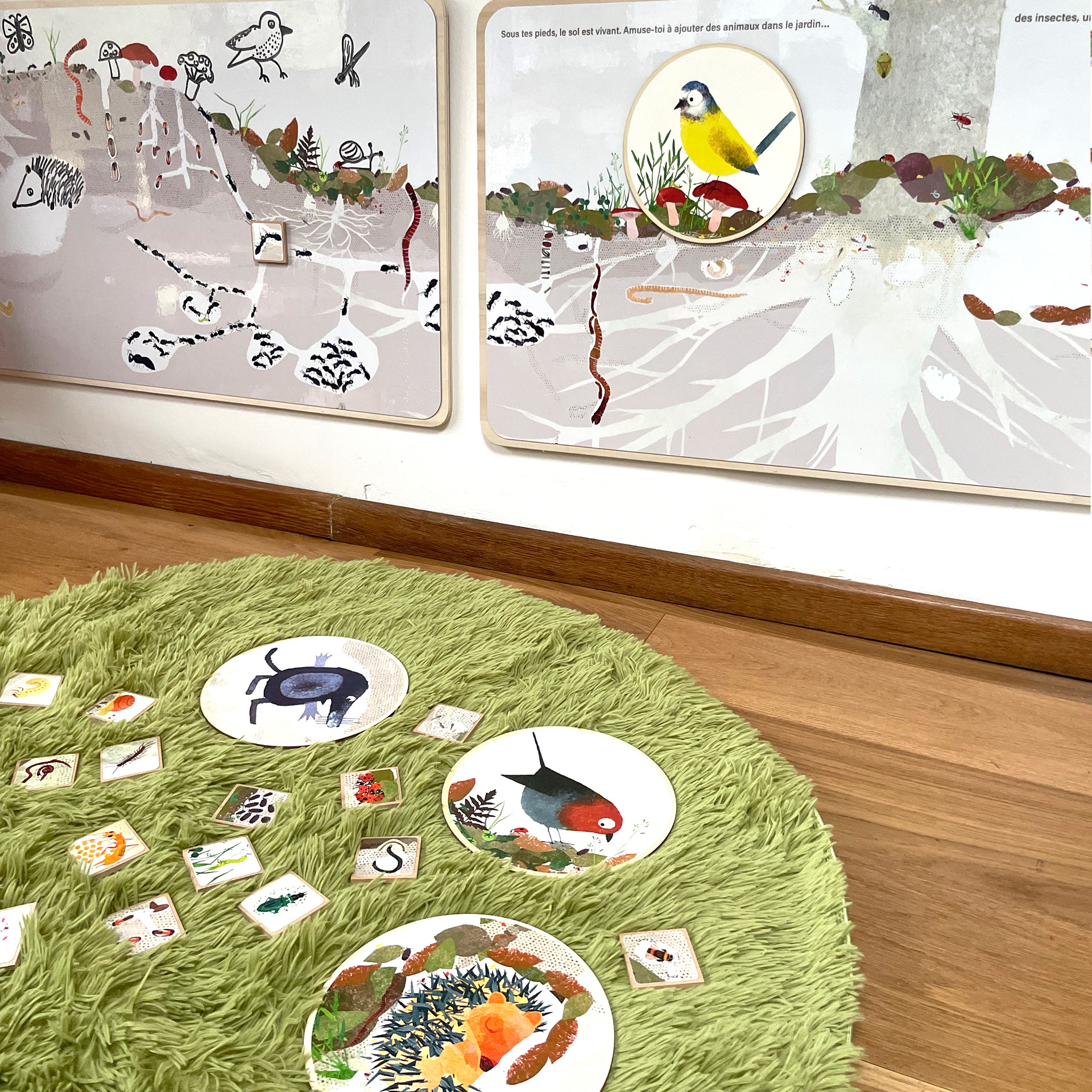 Emmanuelle Houssais illustratrice