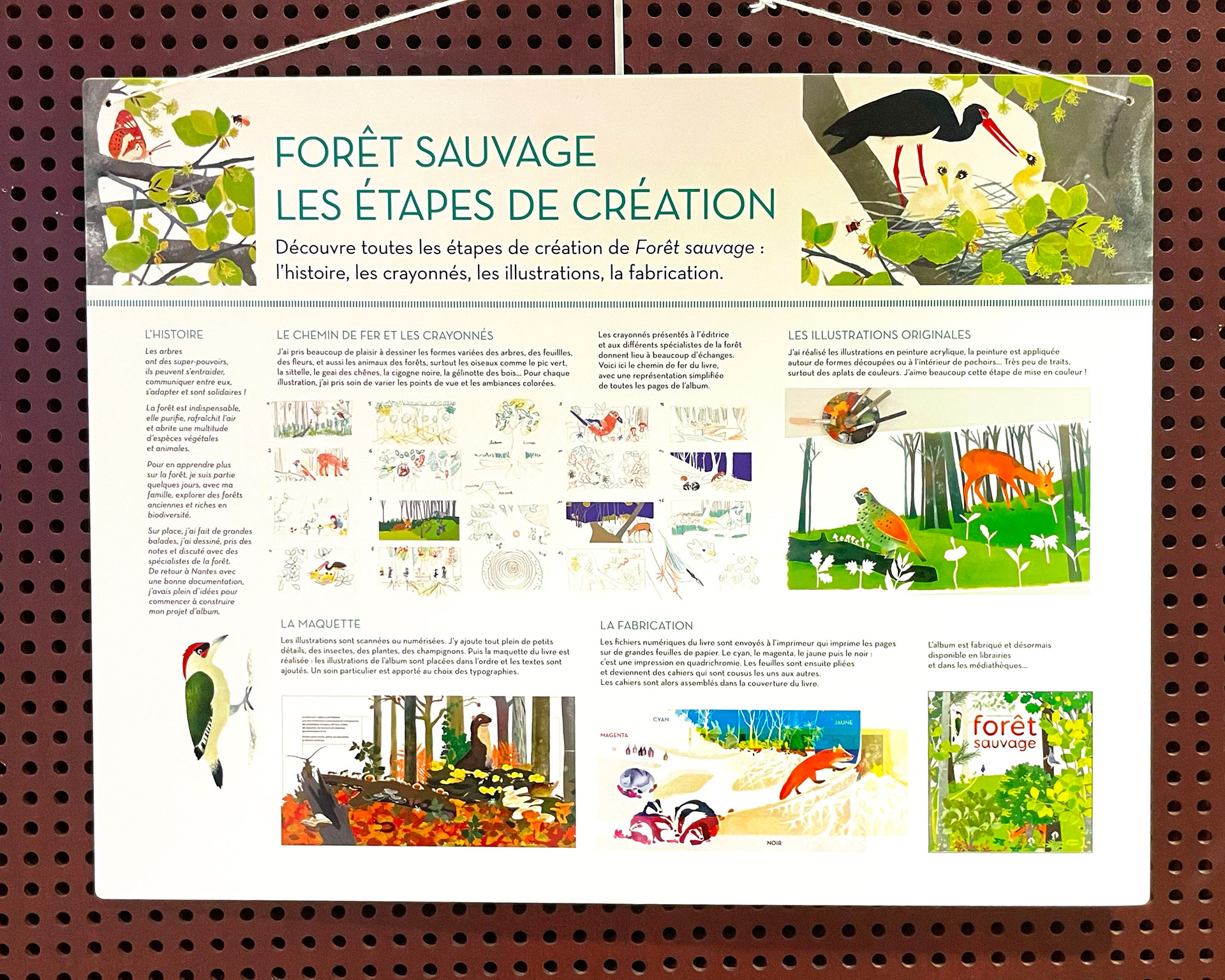 Emmanuelle Houssais illustratrice illustration graphiste graphisme album jeunesse exposition biodiversité