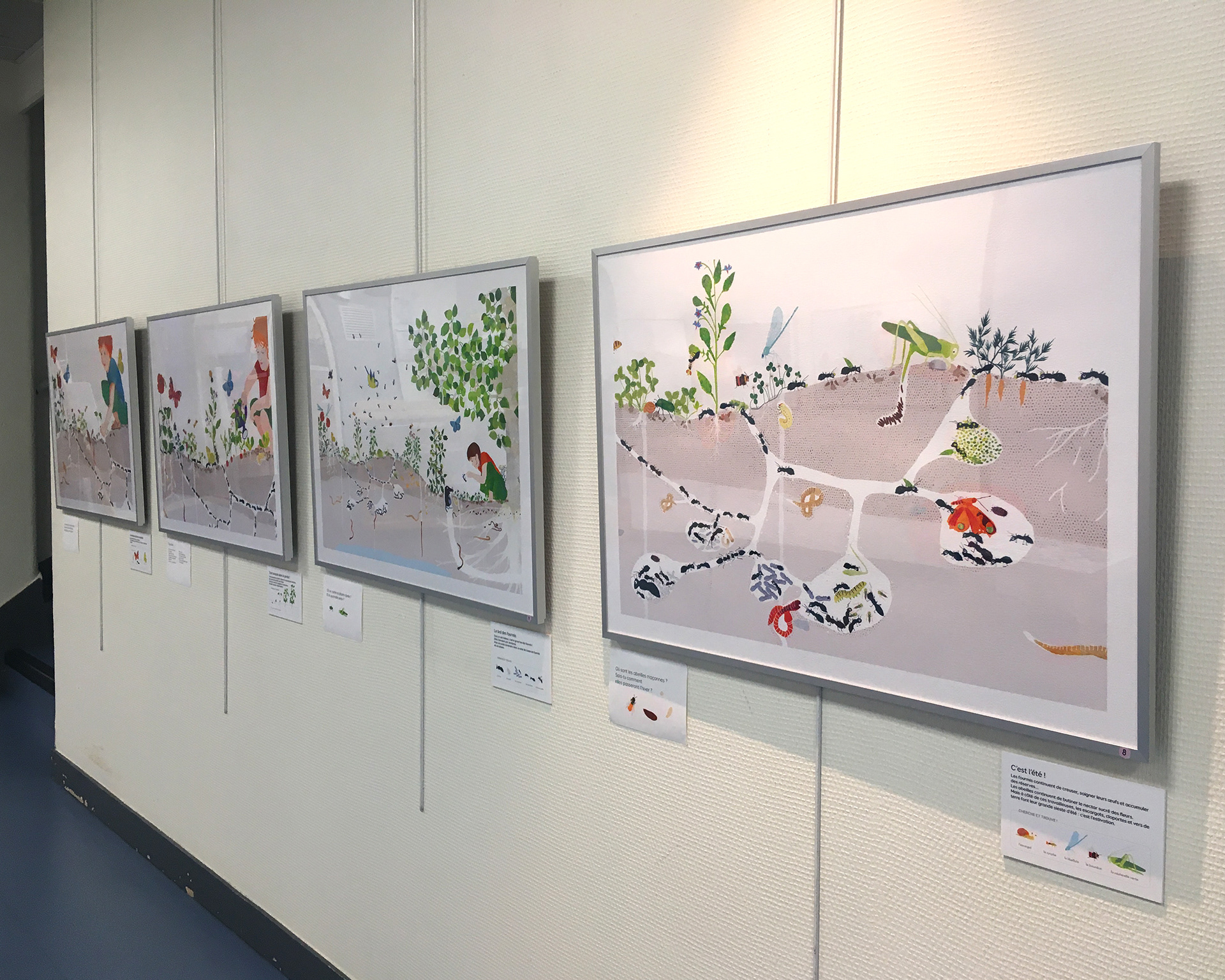 Emmanuelle Houssais illustratrice illustration graphiste graphisme album jeunesse