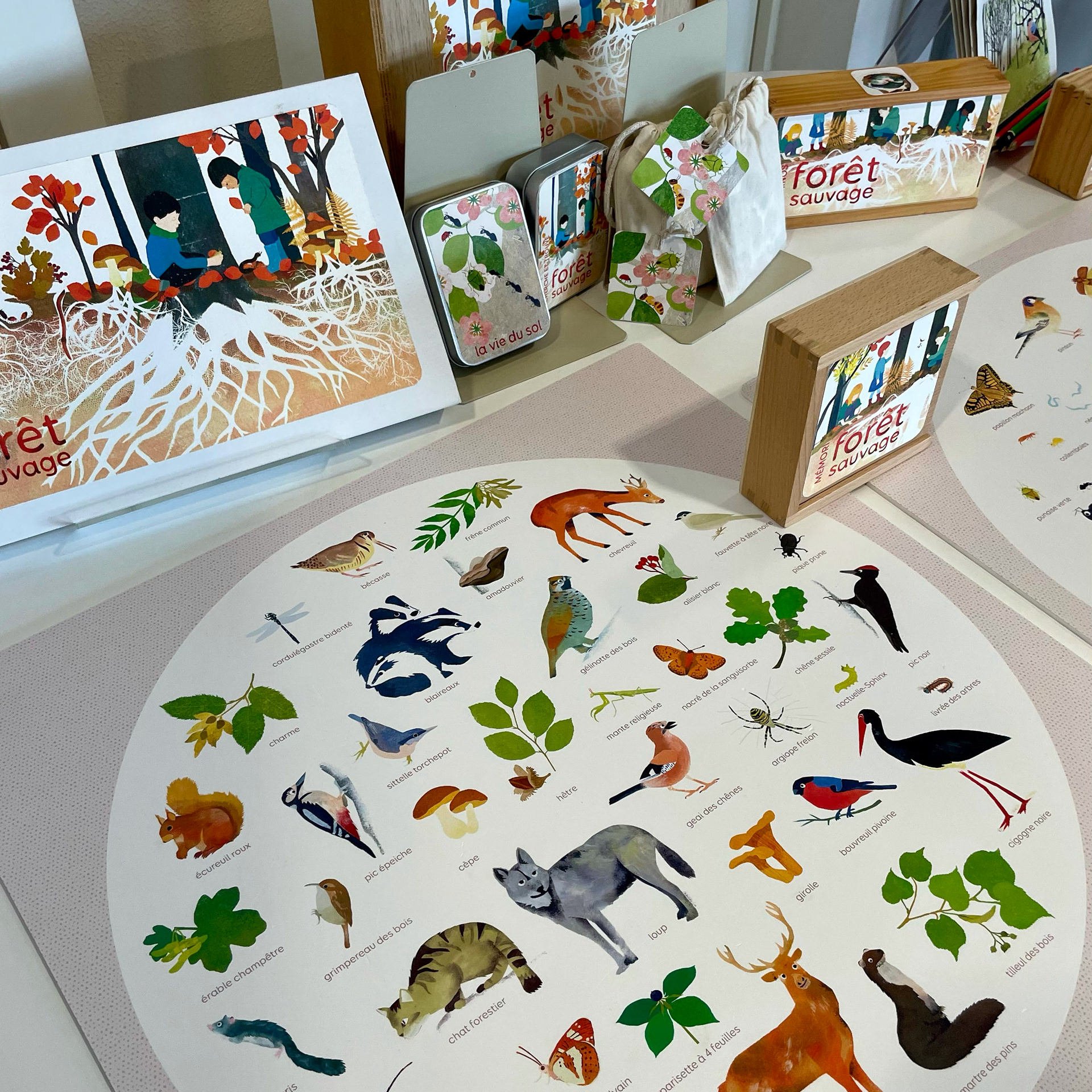 Emmanuelle Houssais illustratrice illustration graphiste graphisme album jeunesse exposition biodiversité