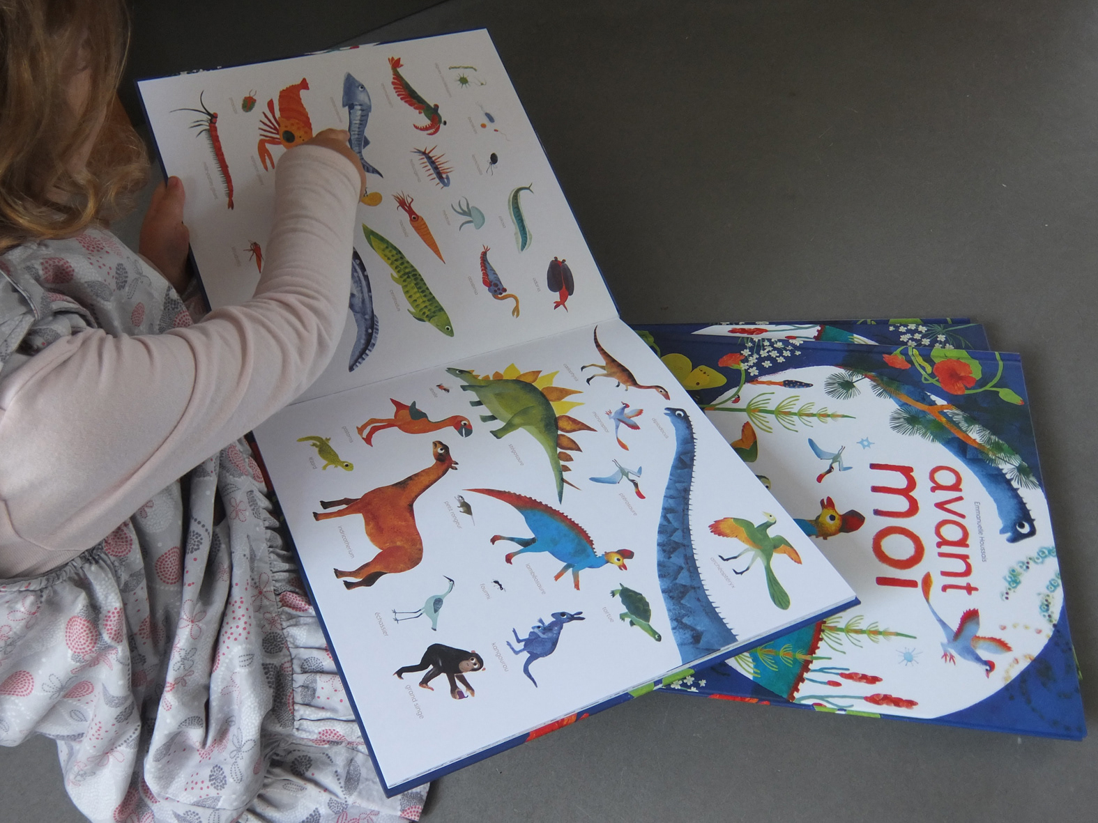 Emmanuelle Houssais illustratrice illustration graphiste graphisme album jeunesse exposition biodiversité dinosaure