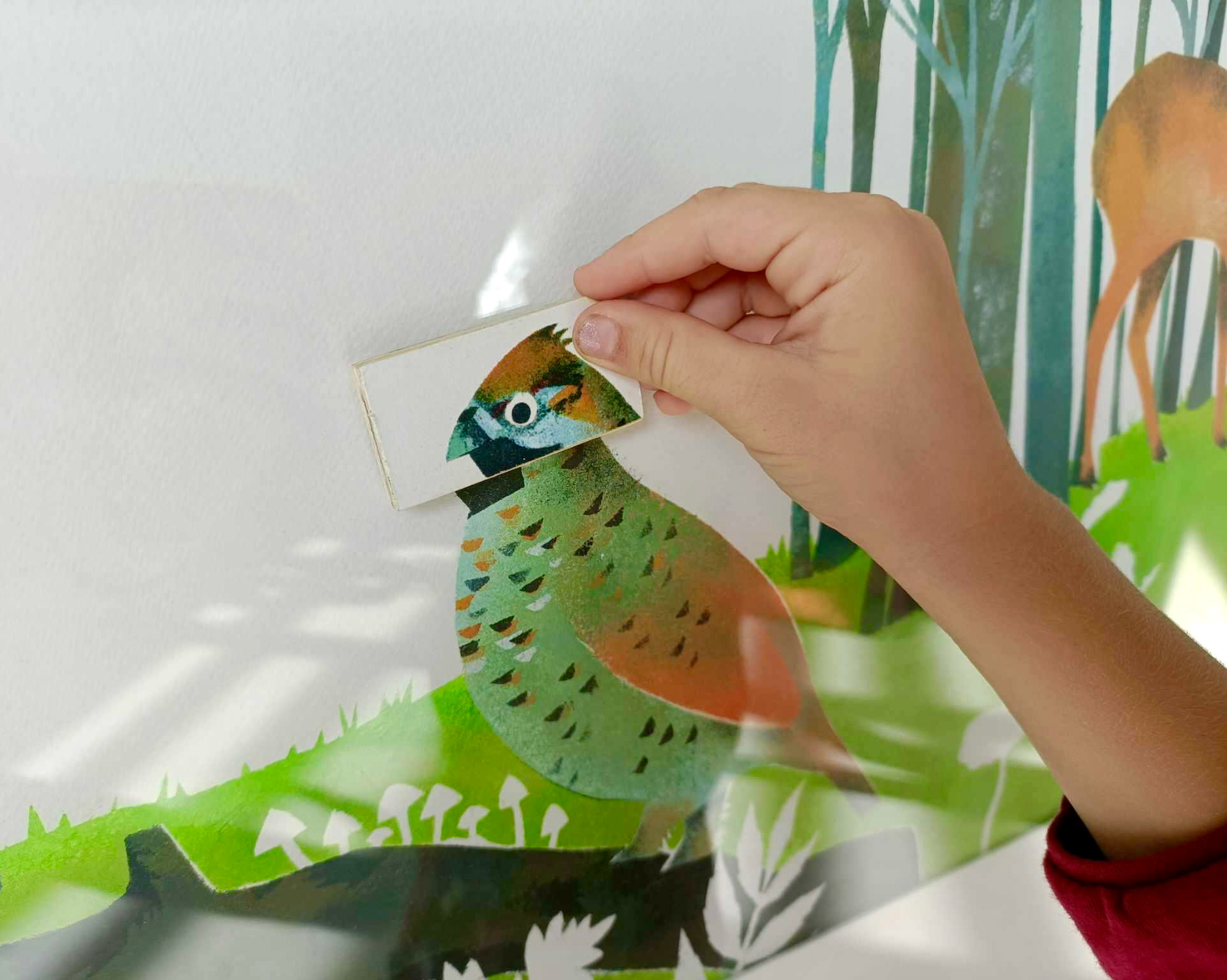 Emmanuelle Houssais illustratrice illustration graphiste graphisme album jeunesse exposition biodiversité