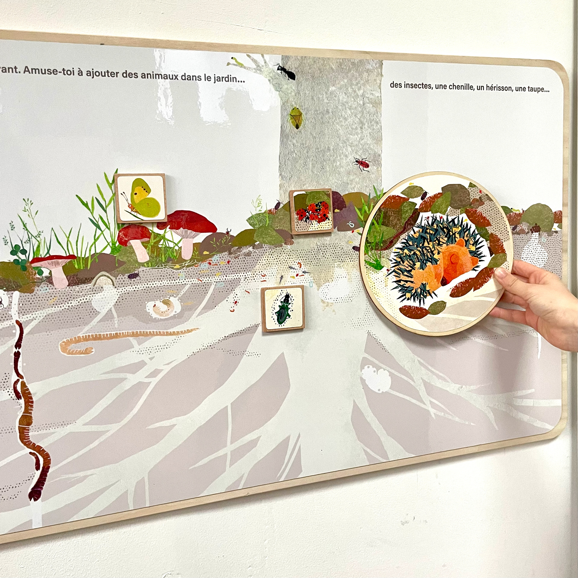 Emmanuelle Houssais illustratrice illustration graphiste graphisme album jeunesse exposition biodiversité