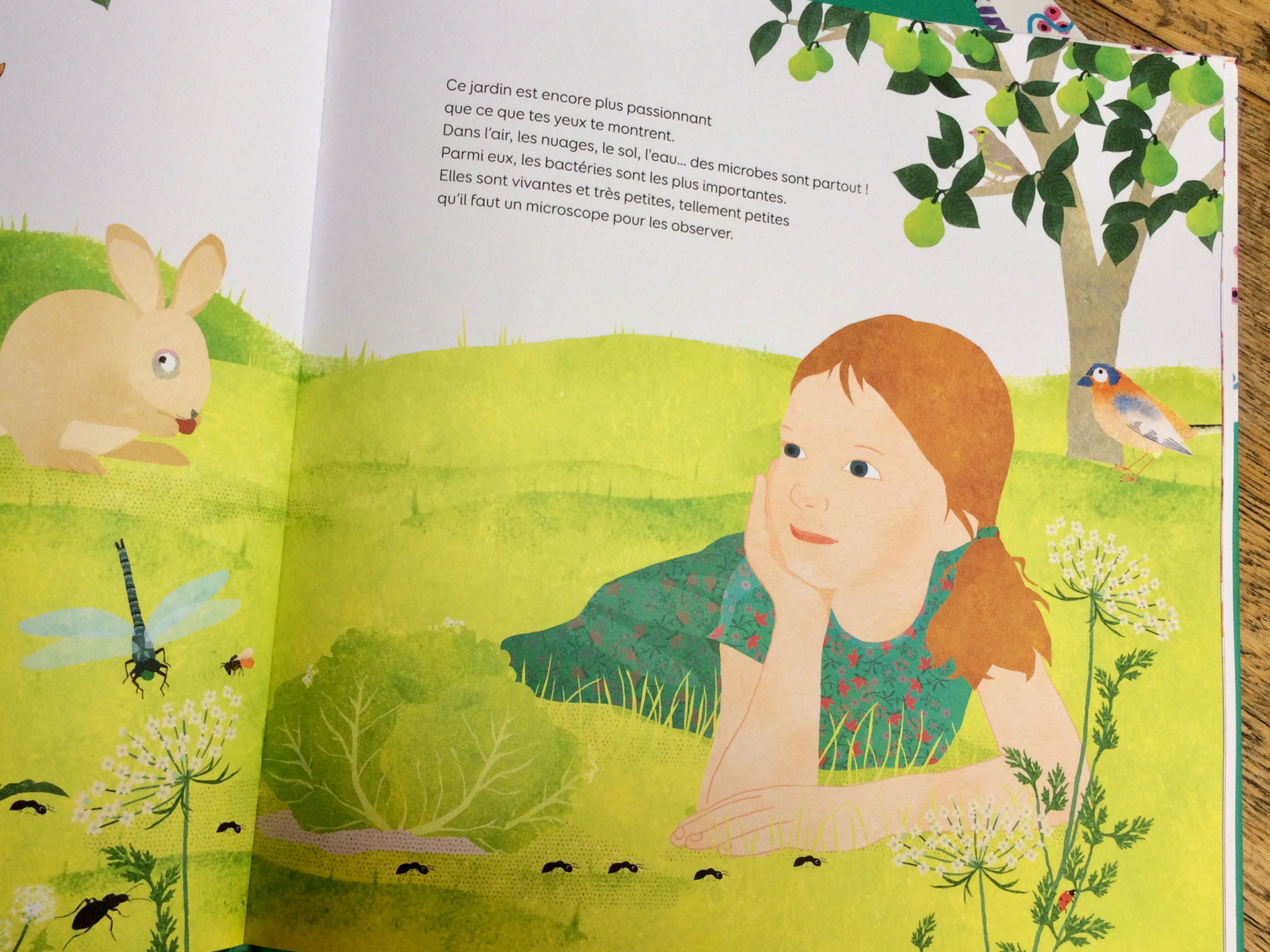 Emmanuelle Houssais illustratrice illustration graphiste graphisme album jeunesse exposition biodiversité bactérie santé jardin