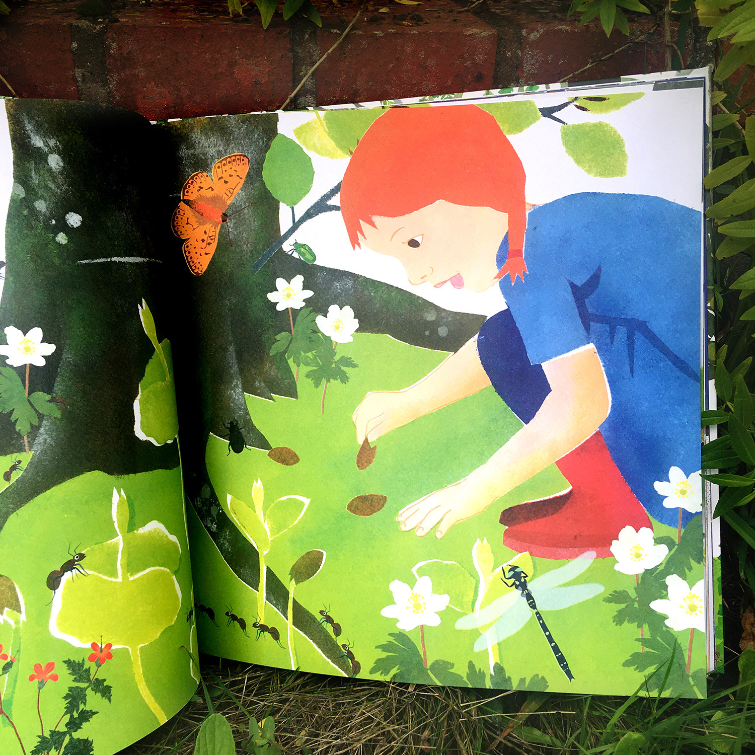 Emmanuelle Houssais illustratrice illustration graphiste graphisme album jeunesse exposition biodiversité