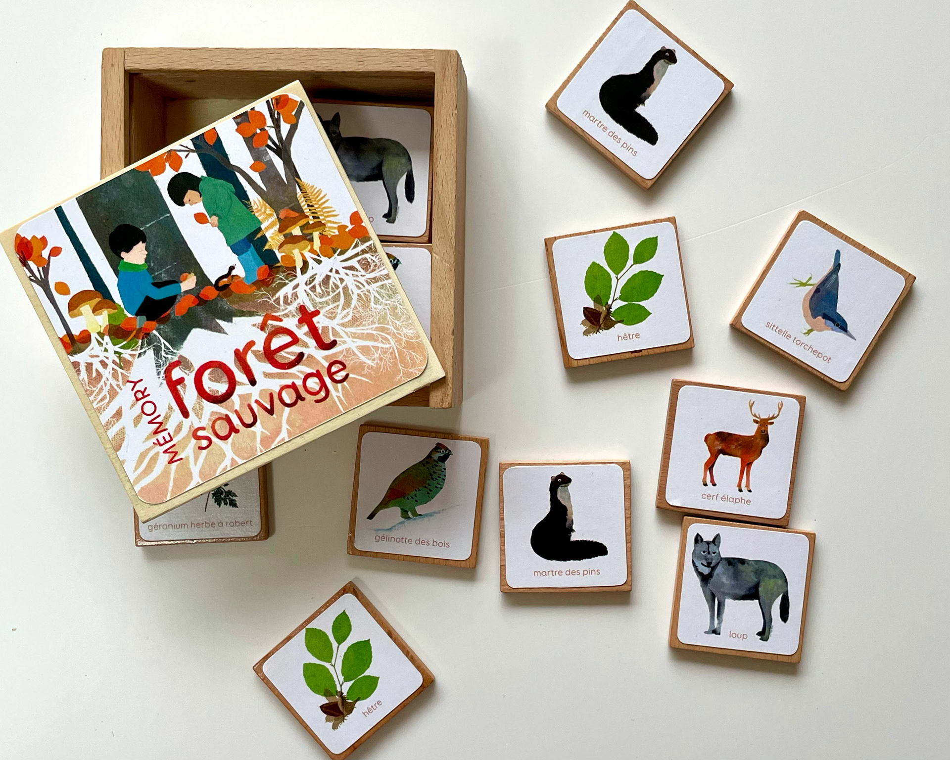 Emmanuelle Houssais illustratrice illustration graphiste graphisme album jeunesse exposition biodiversité