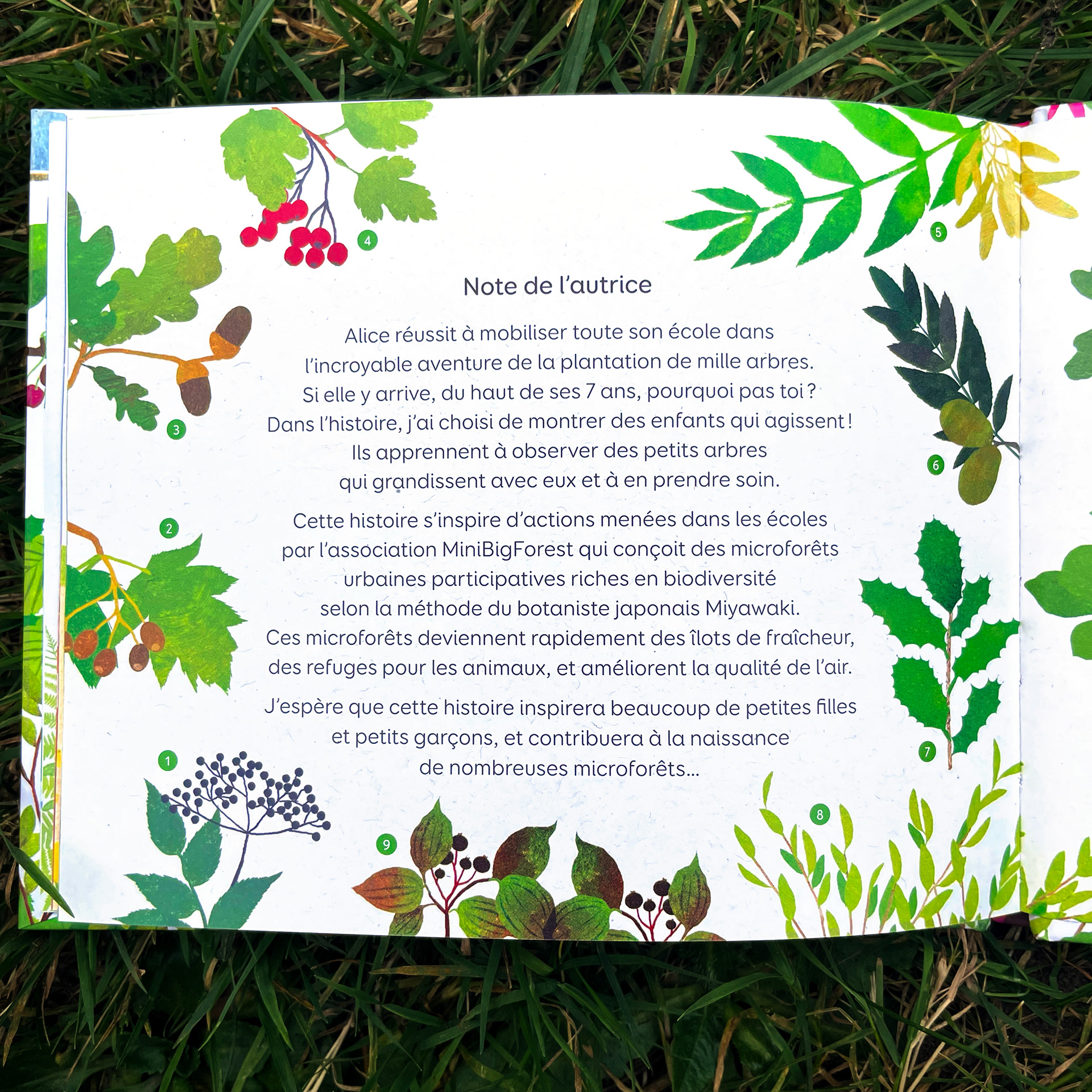 Emmanuelle Houssais illustratrice illustration graphiste graphisme album jeunesse exposition biodiversité