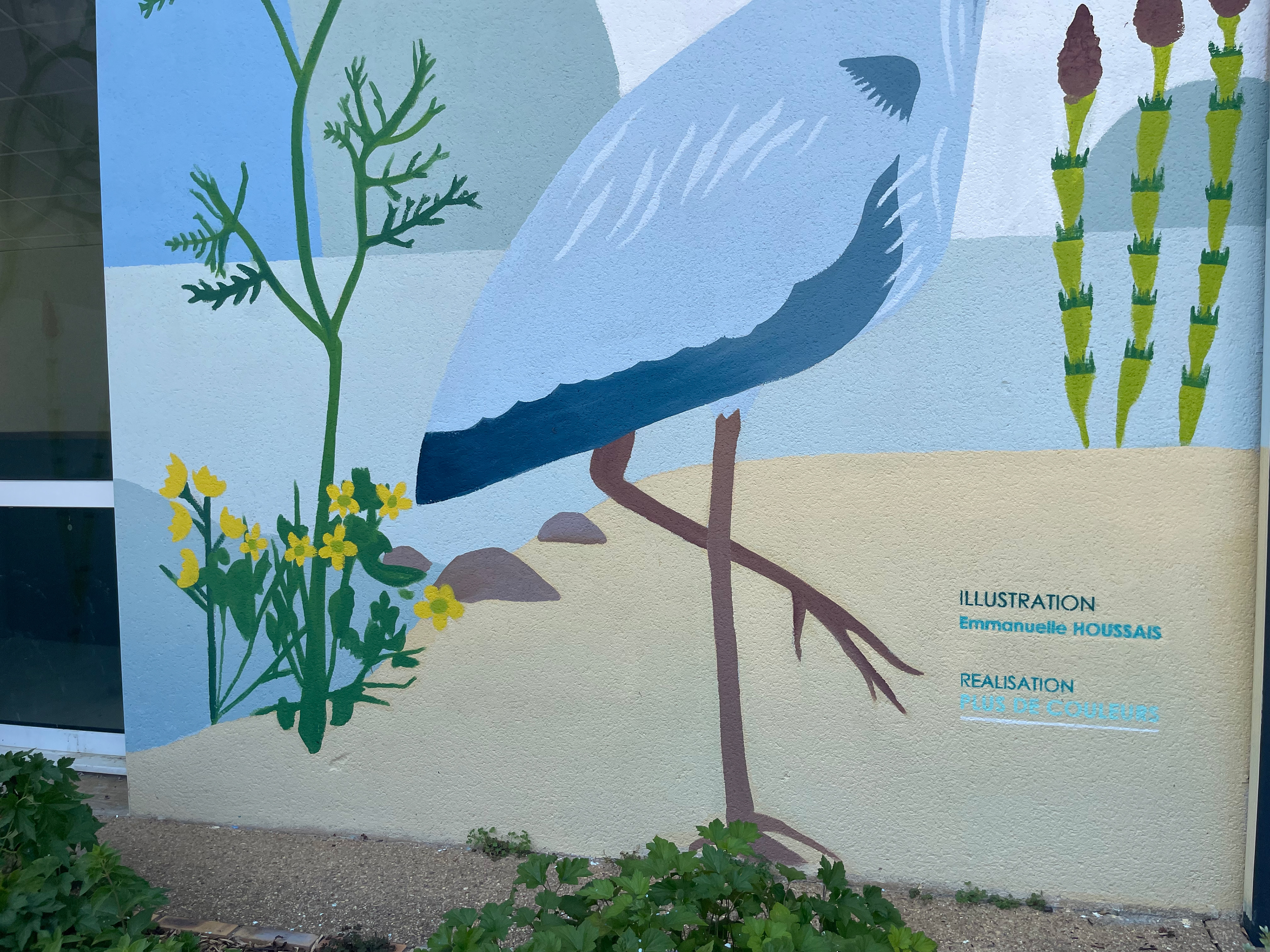 Emmanuelle Houssais illustratrice illustration graphiste graphisme album jeunesse exposition biodiversité fresque murale