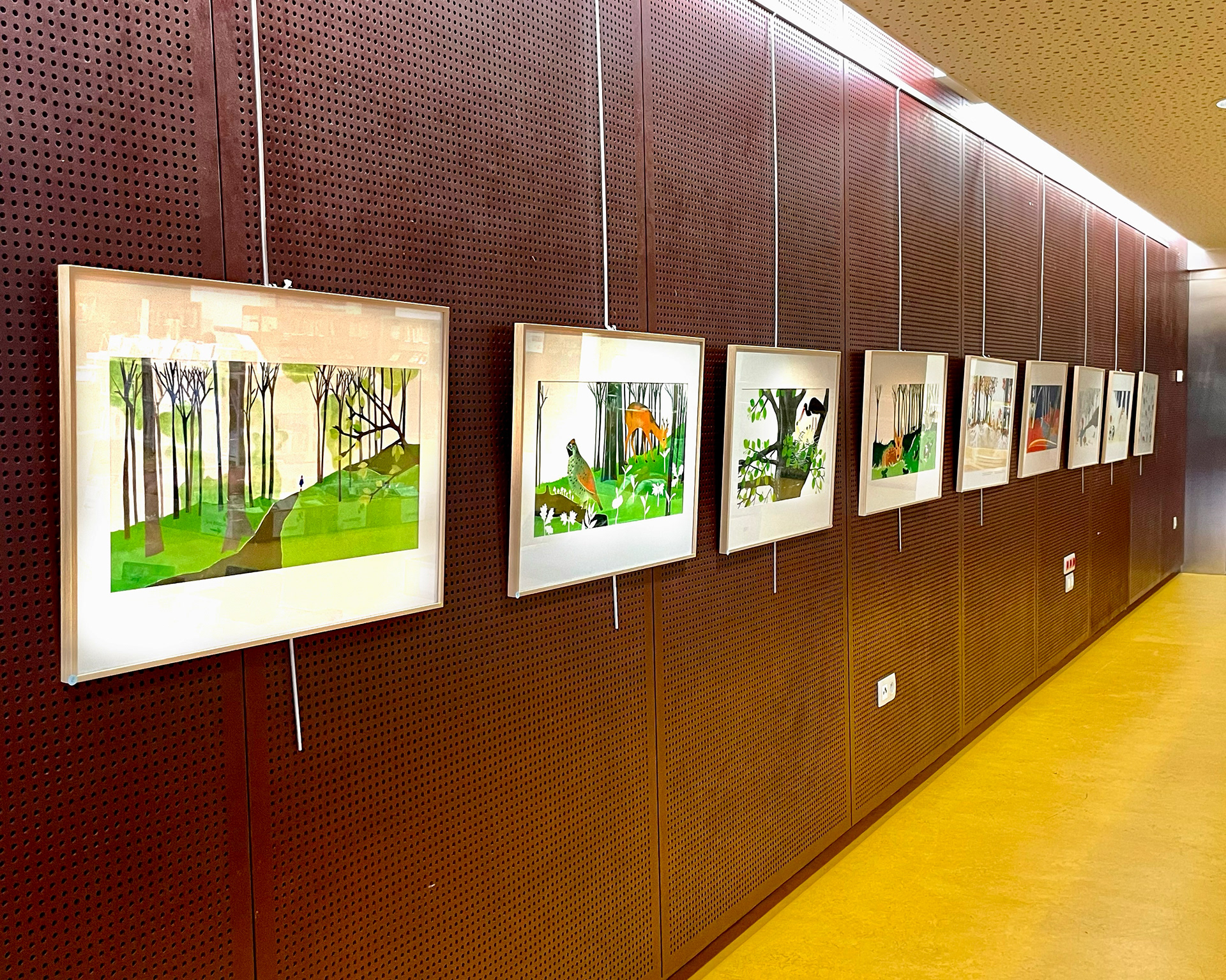 Emmanuelle Houssais illustratrice illustration graphiste graphisme album jeunesse exposition biodiversité