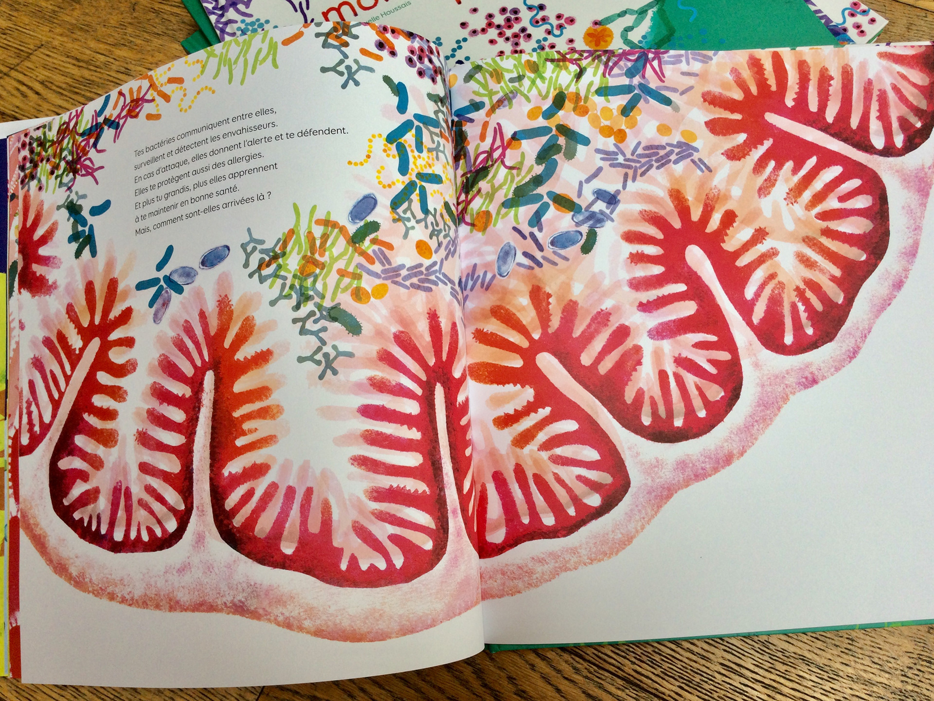 Emmanuelle Houssais illustratrice illustration graphiste graphisme album jeunesse exposition biodiversité bactérie santé microbiote