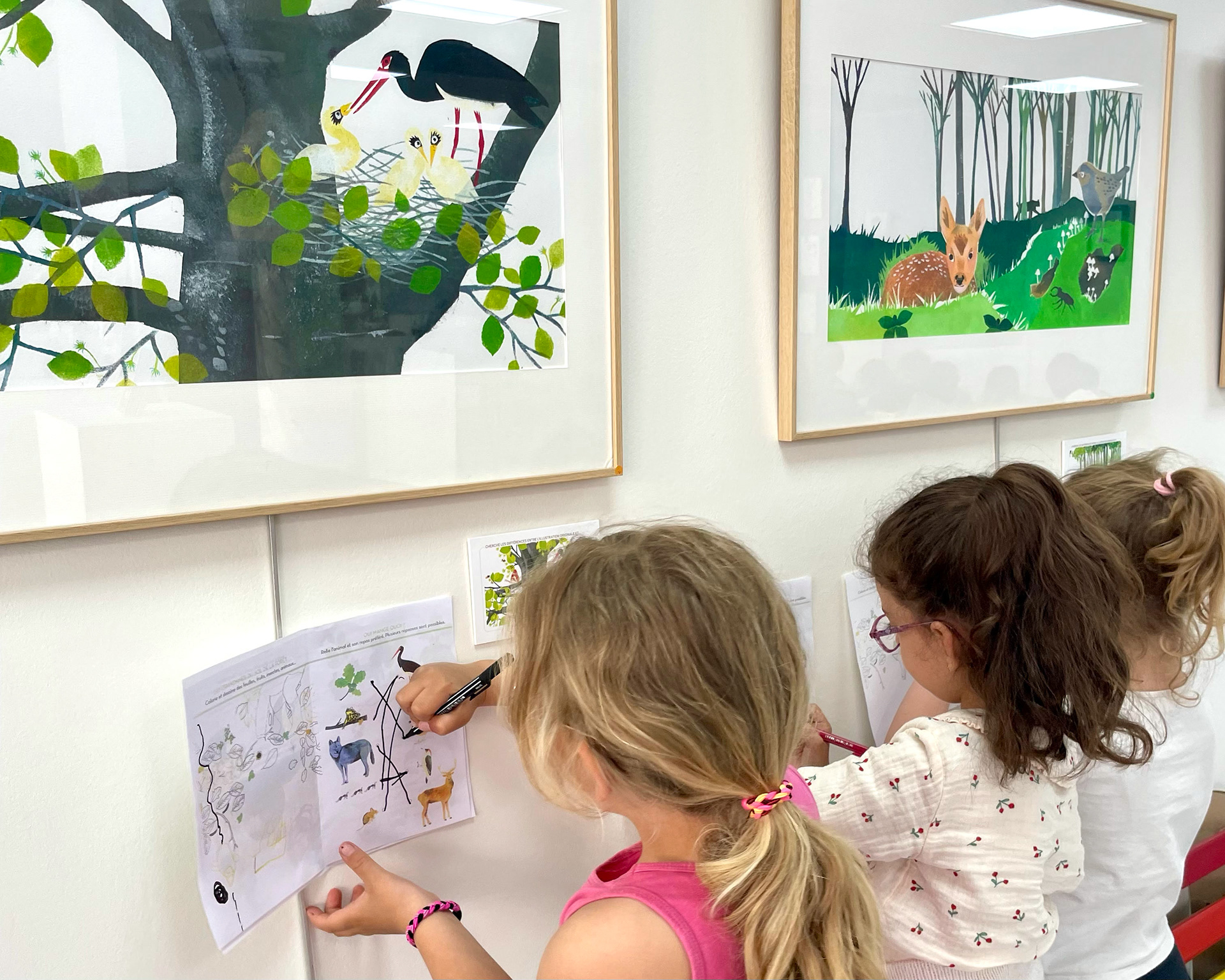 Emmanuelle Houssais illustratrice illustration graphiste graphisme album jeunesse exposition biodiversité