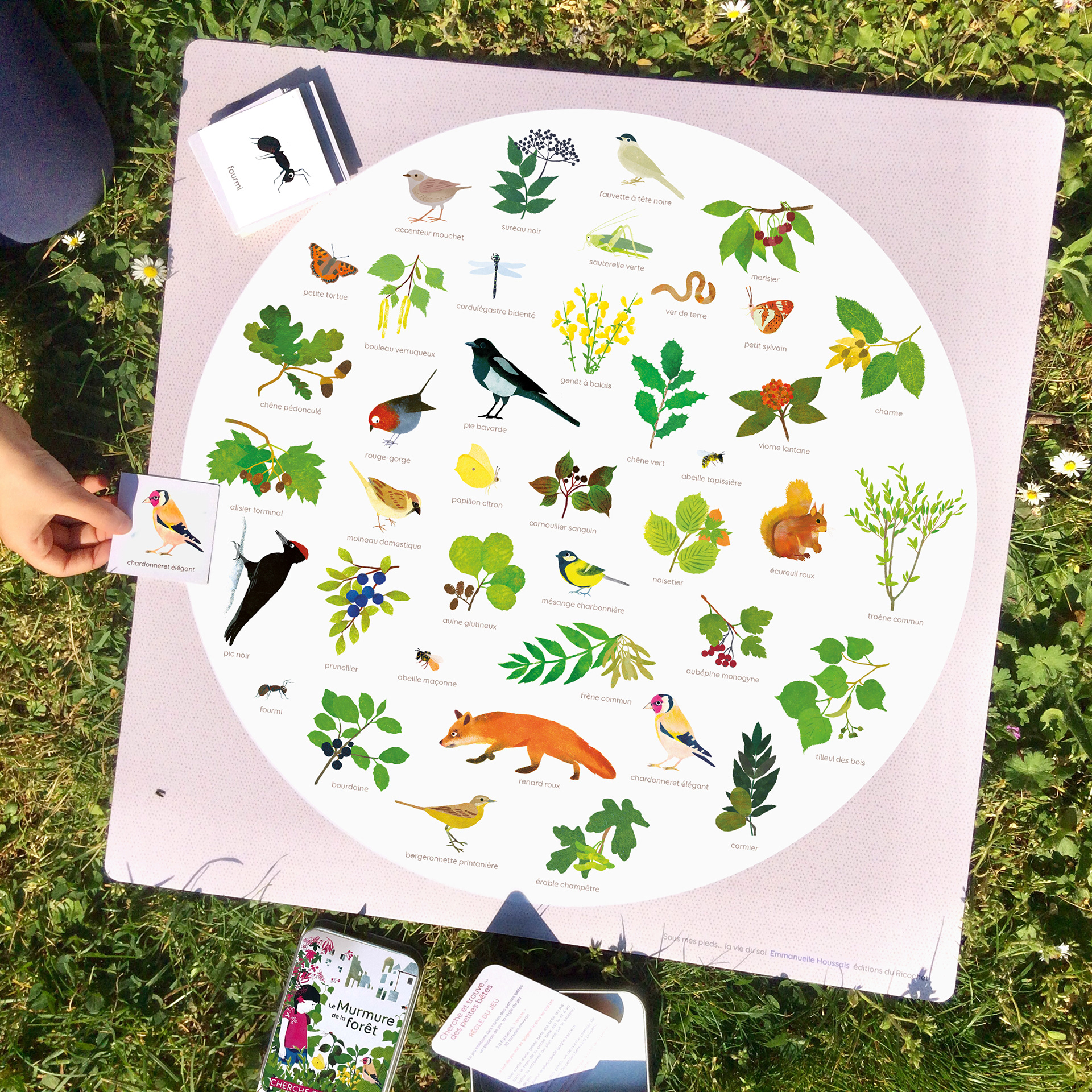 Emmanuelle Houssais illustratrice illustration graphiste graphisme album jeunesse exposition biodiversité