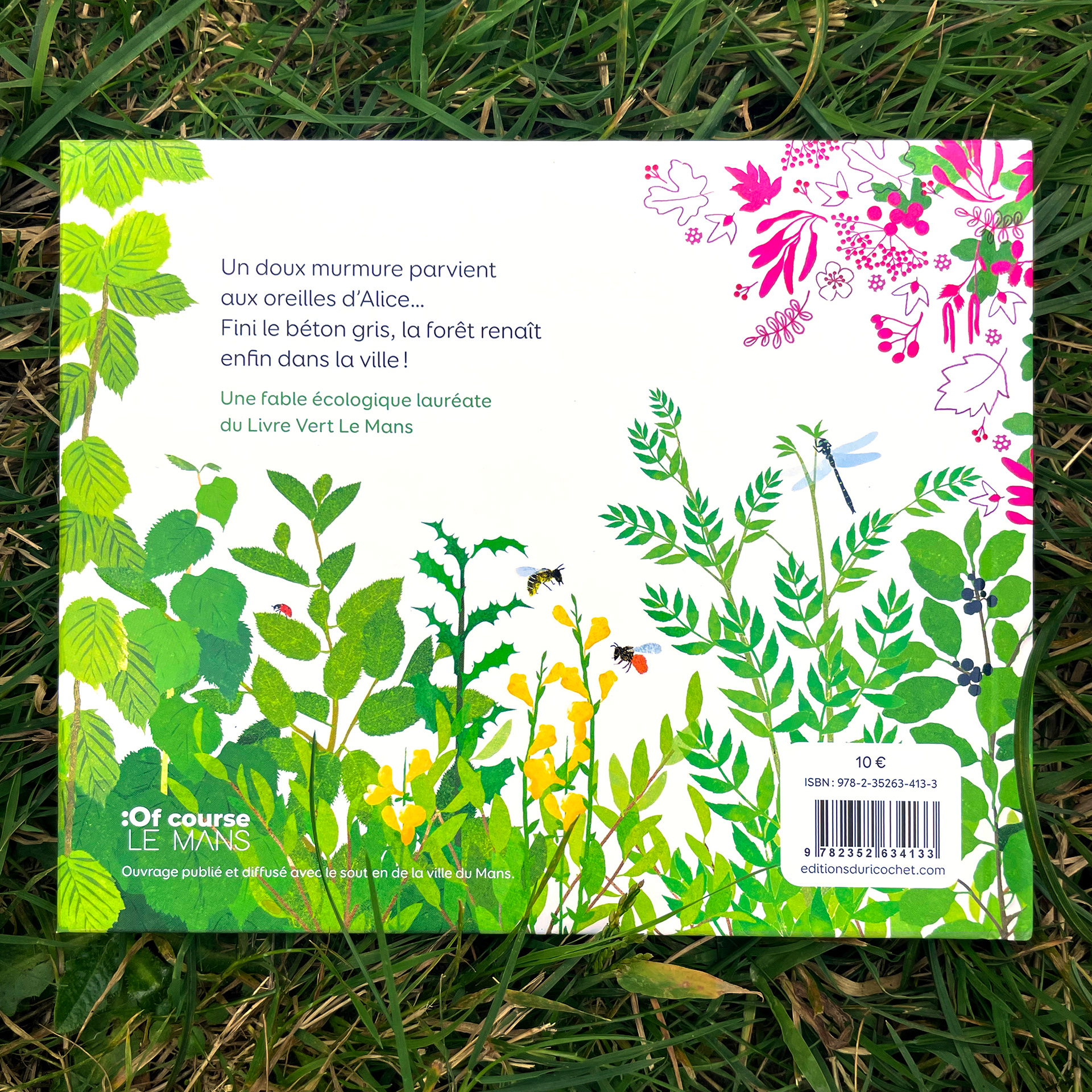 Emmanuelle Houssais illustratrice illustration graphiste graphisme album jeunesse exposition biodiversité