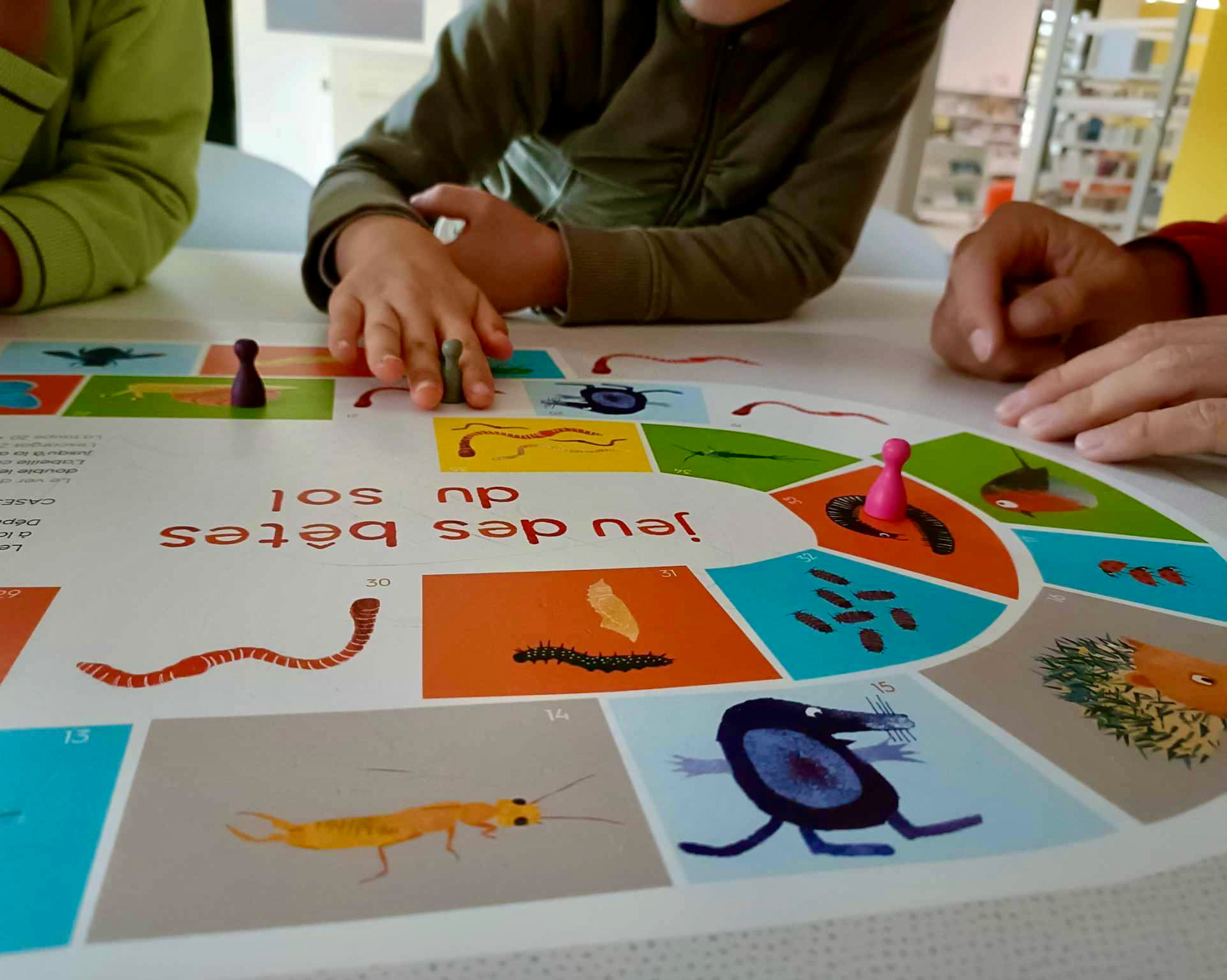 Emmanuelle Houssais illustratrice illustration graphiste graphisme album jeunesse exposition biodiversité