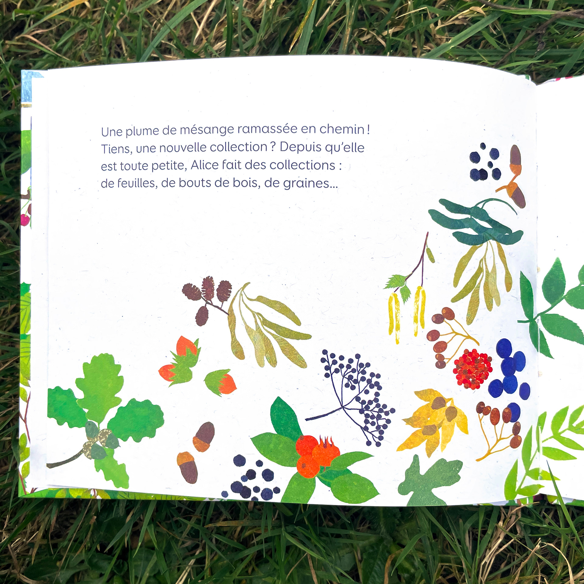 Emmanuelle Houssais illustratrice illustration graphiste graphisme album jeunesse exposition biodiversité