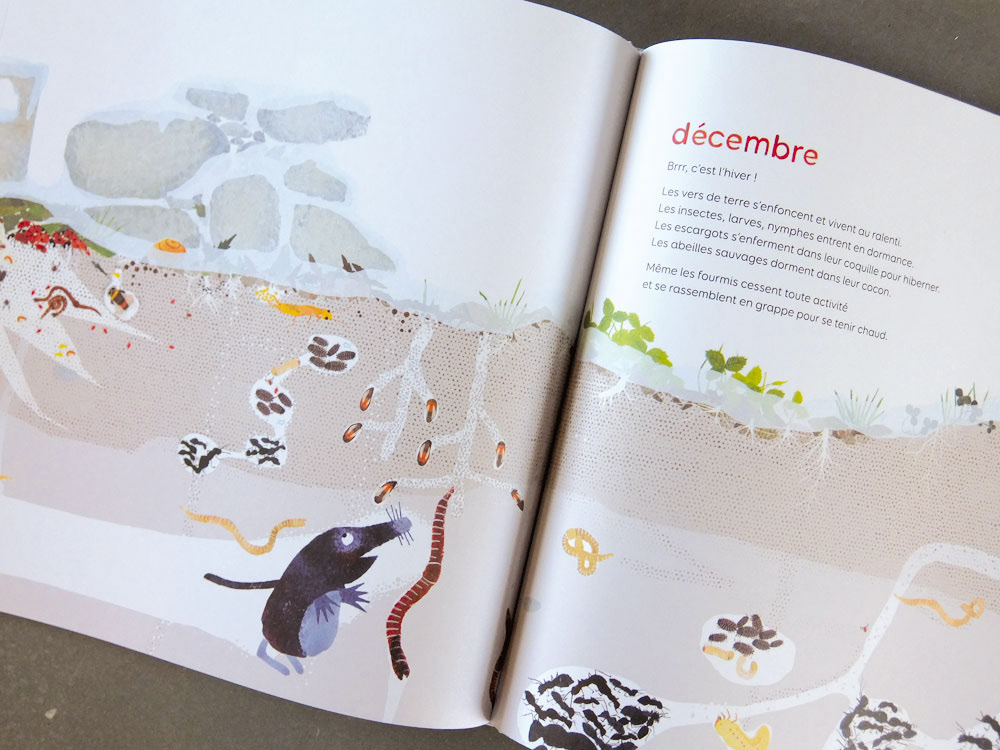 Emmanuelle Houssais illustratrice illustration graphiste graphisme album jeunesse exposition biodiversité insecte taupe