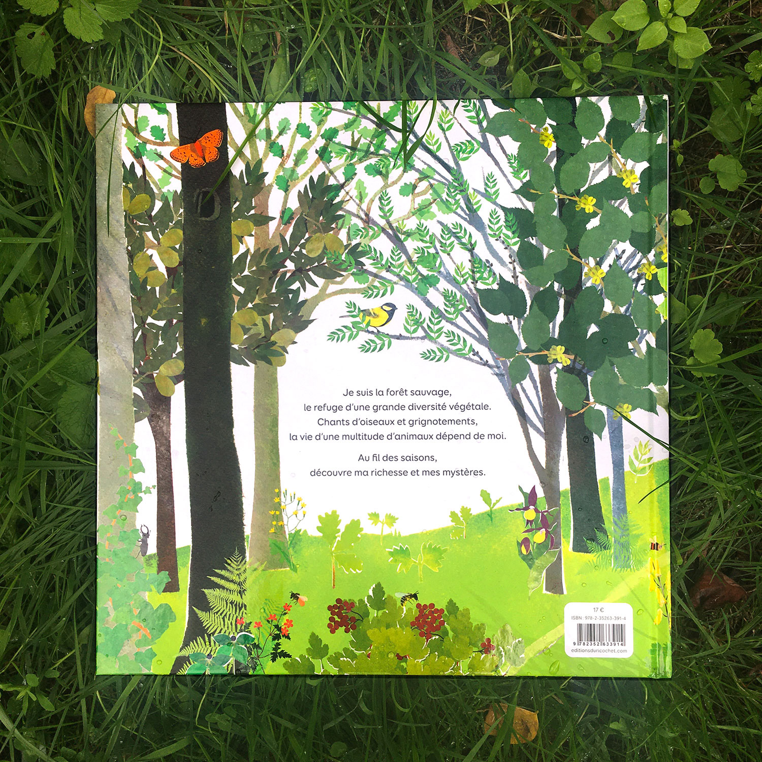 Emmanuelle Houssais illustratrice illustration graphiste graphisme album jeunesse exposition biodiversité