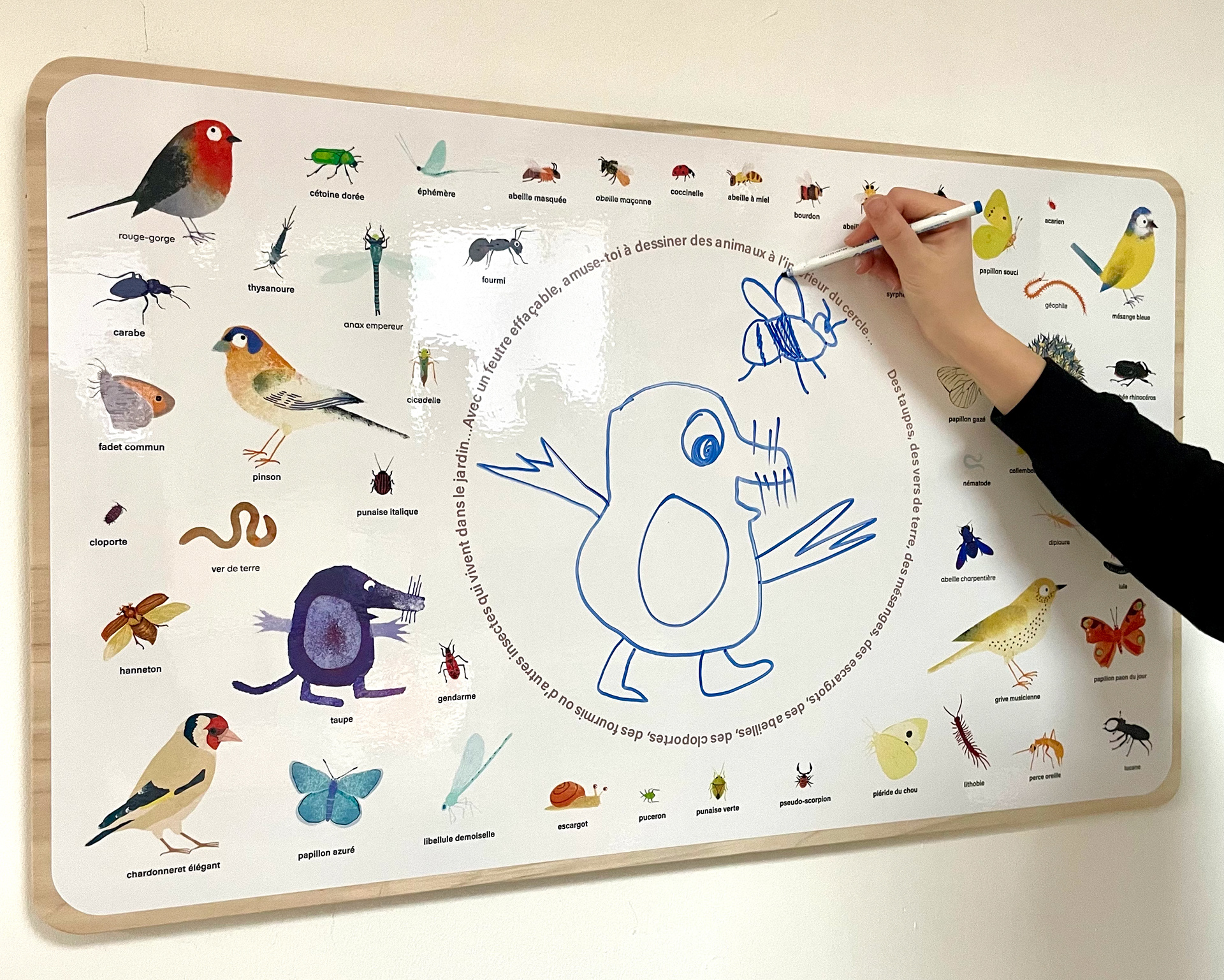 Emmanuelle Houssais illustratrice illustration graphiste graphisme album jeunesse exposition biodiversité