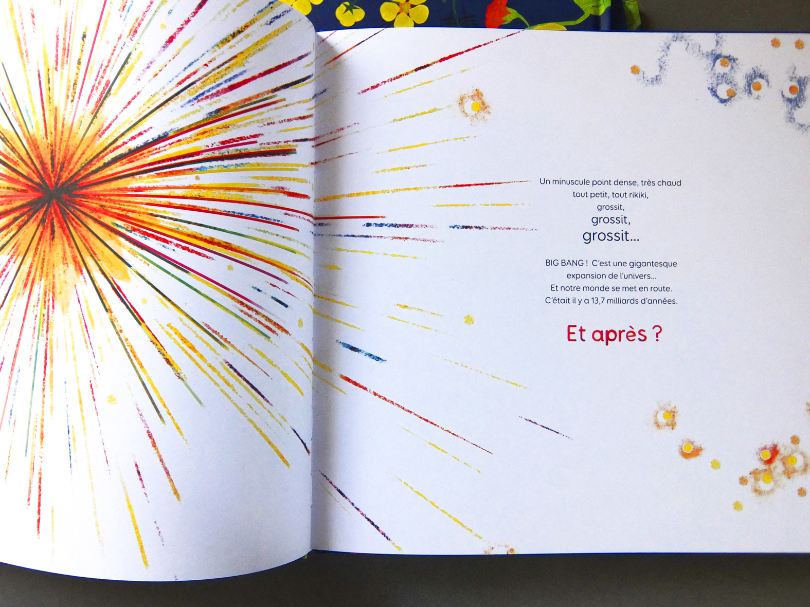 Emmanuelle Houssais illustratrice illustration graphiste graphisme album jeunesse exposition biodiversité big bang