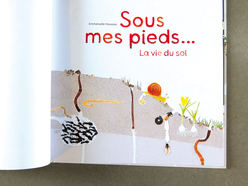 Emmanuelle Houssais illustratrice illustration graphiste graphisme album jeunesse exposition biodiversité insecte taupe