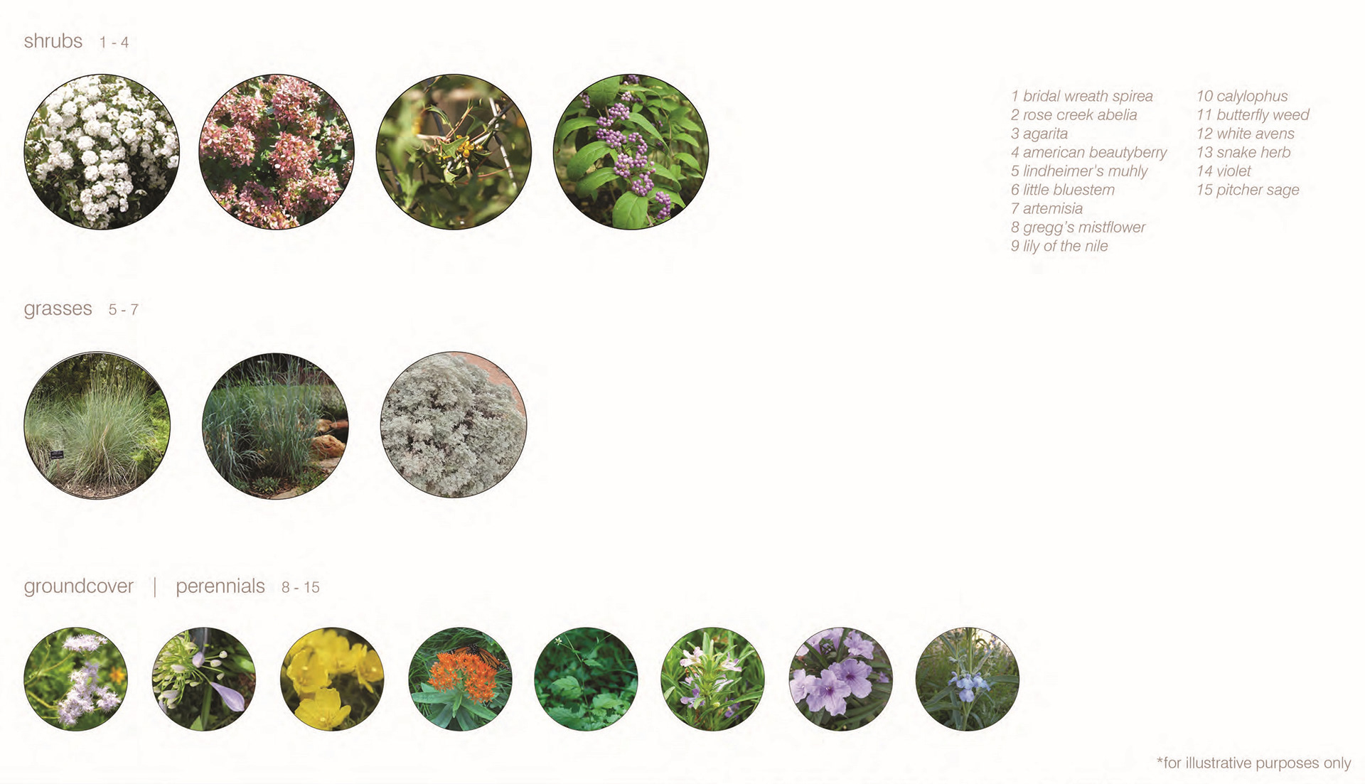 planting exhibit