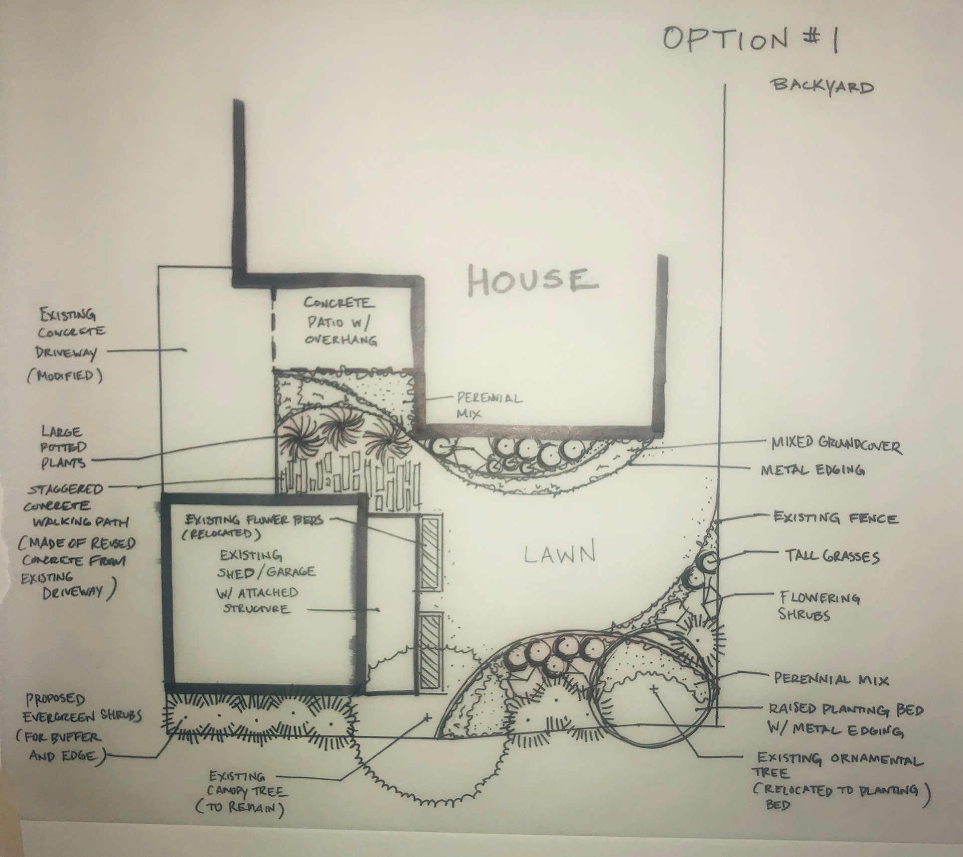backyard sketch design - option 1