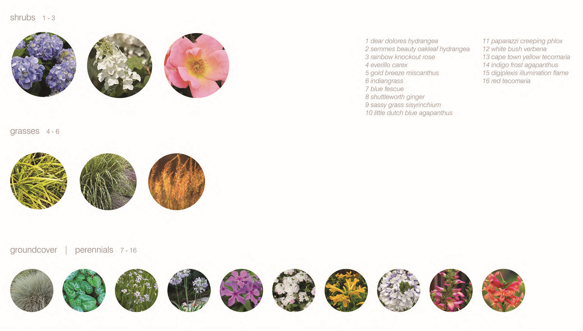 planting exhibit