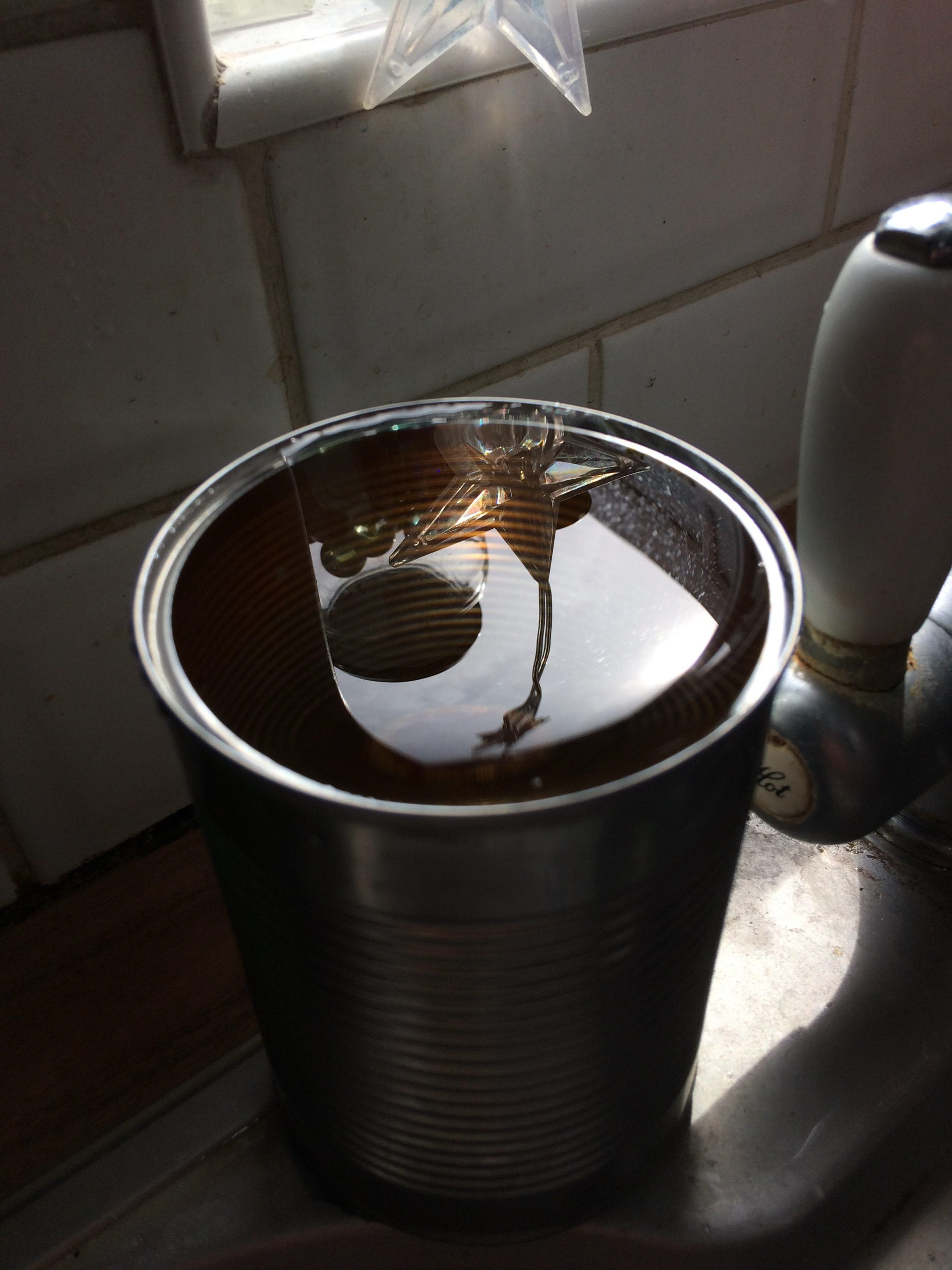 Tinned World
