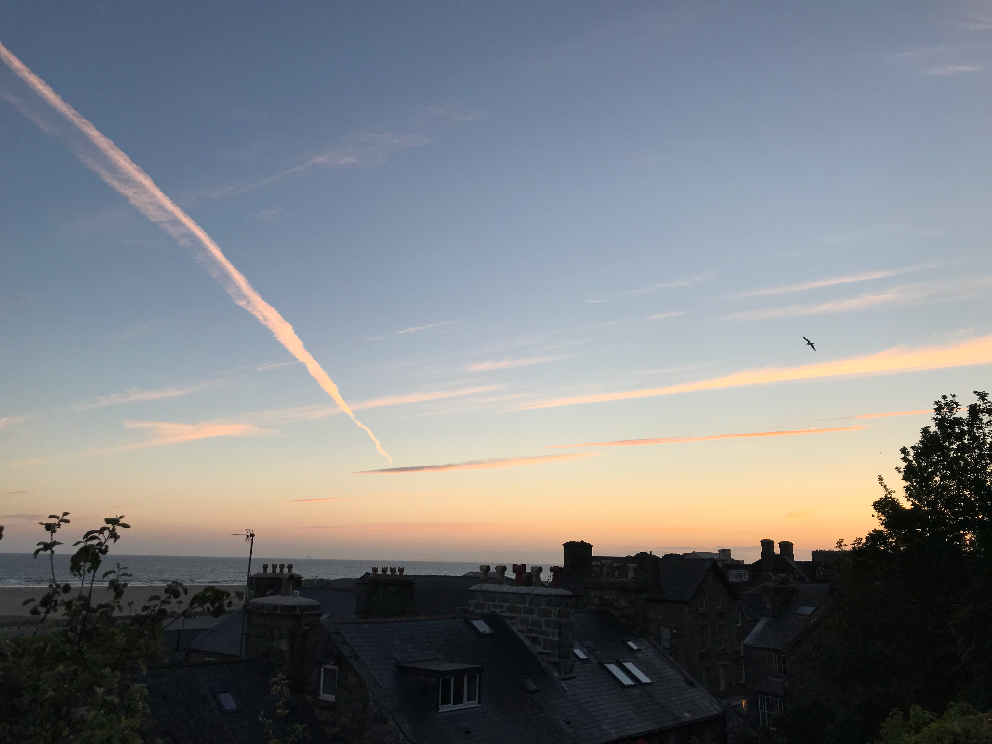 Sky Lines