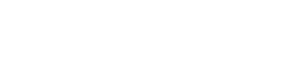 CAPTURE BLANK