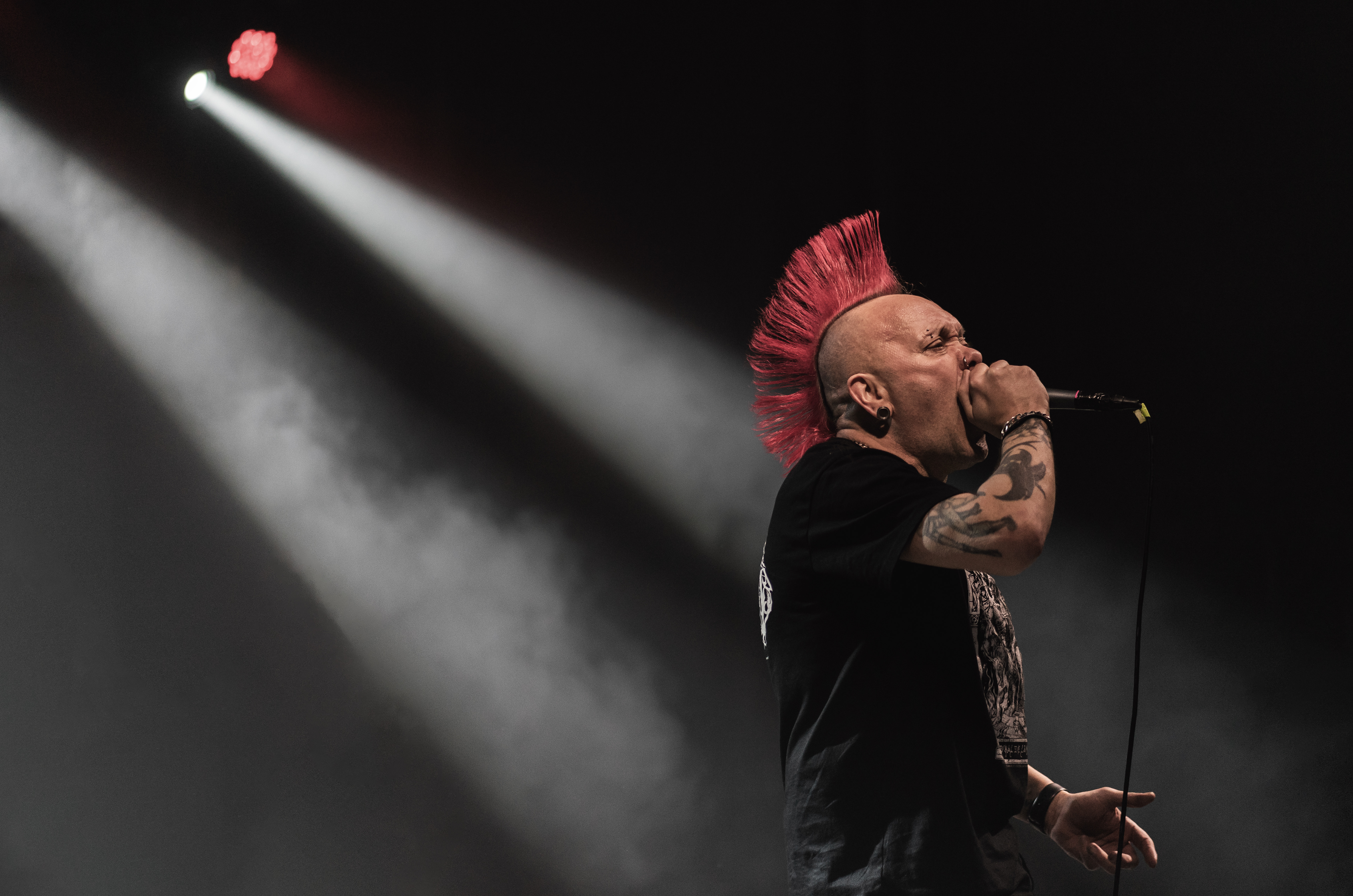 The Exploited / Es Gremi - Spain